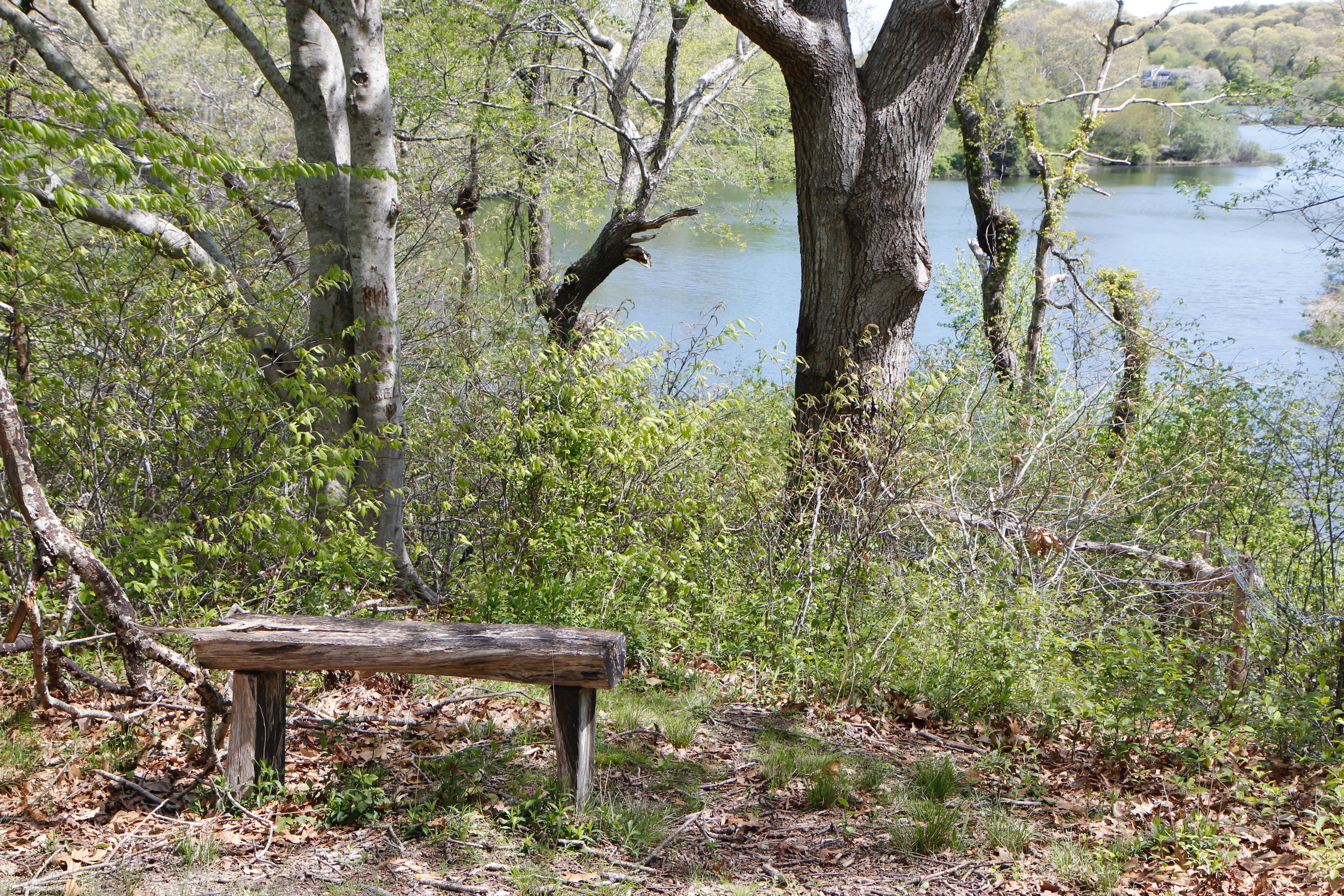 bench at end of trail