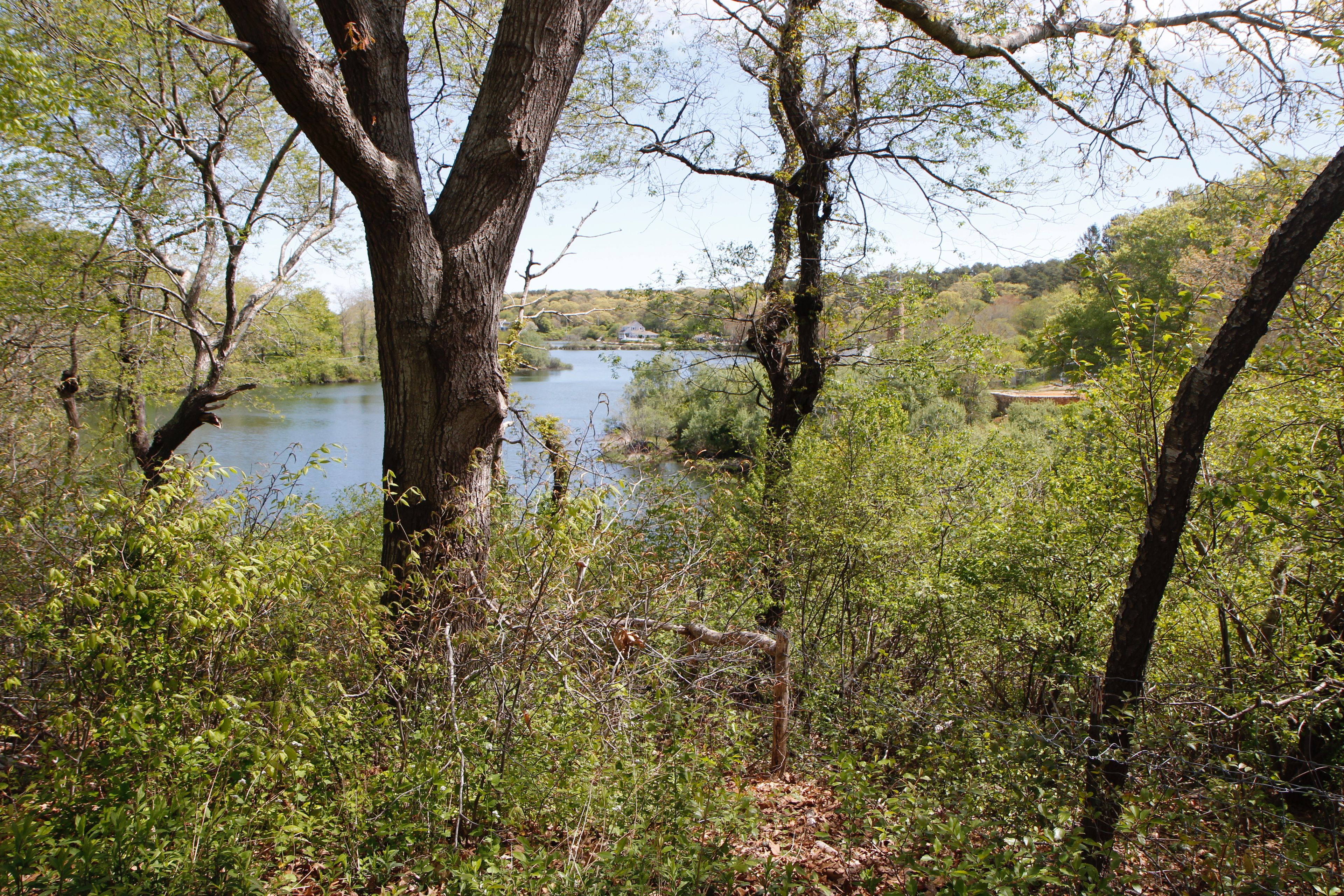 view of Lagoon from end of trail