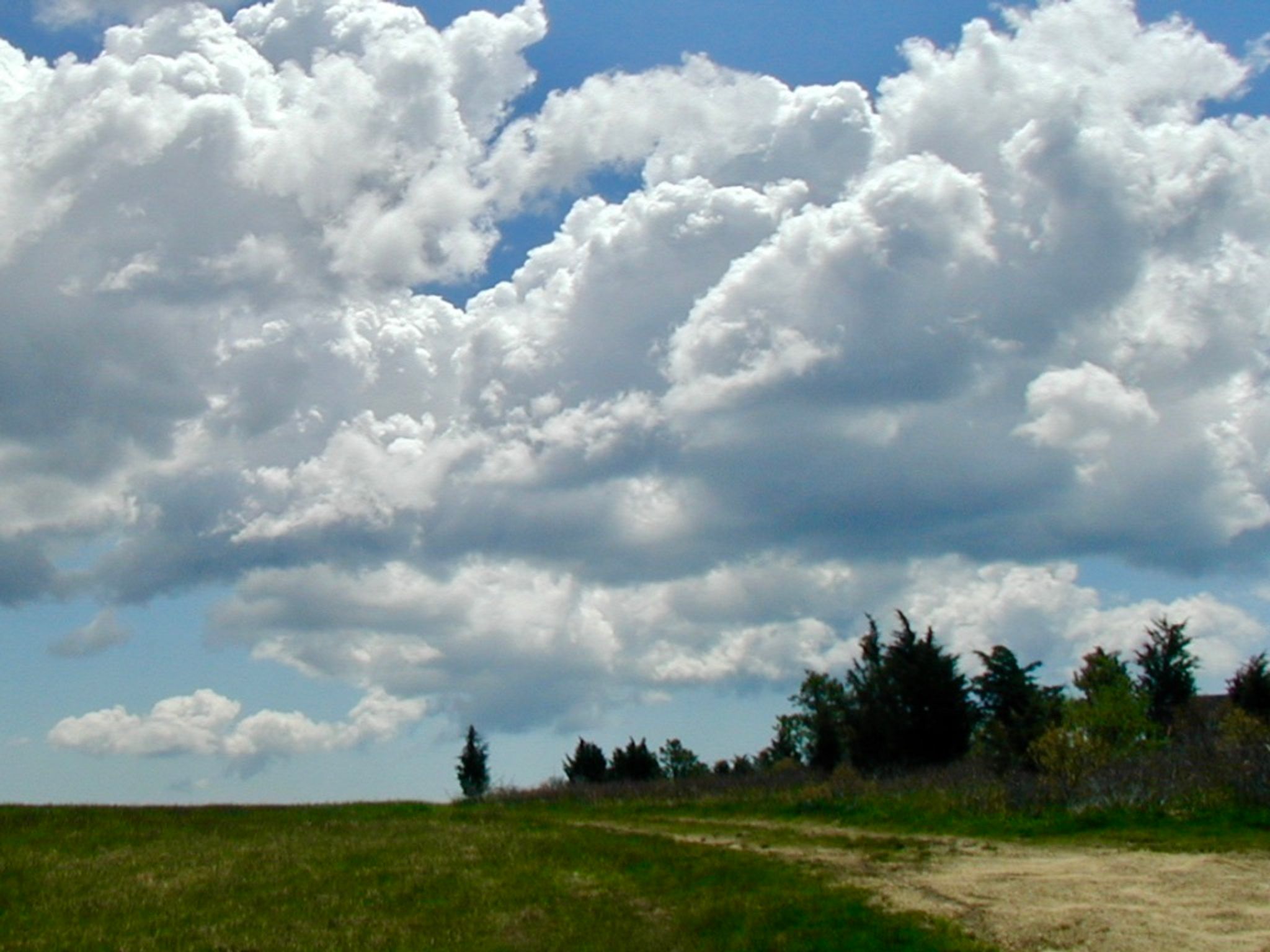 trail at Nat's Farm