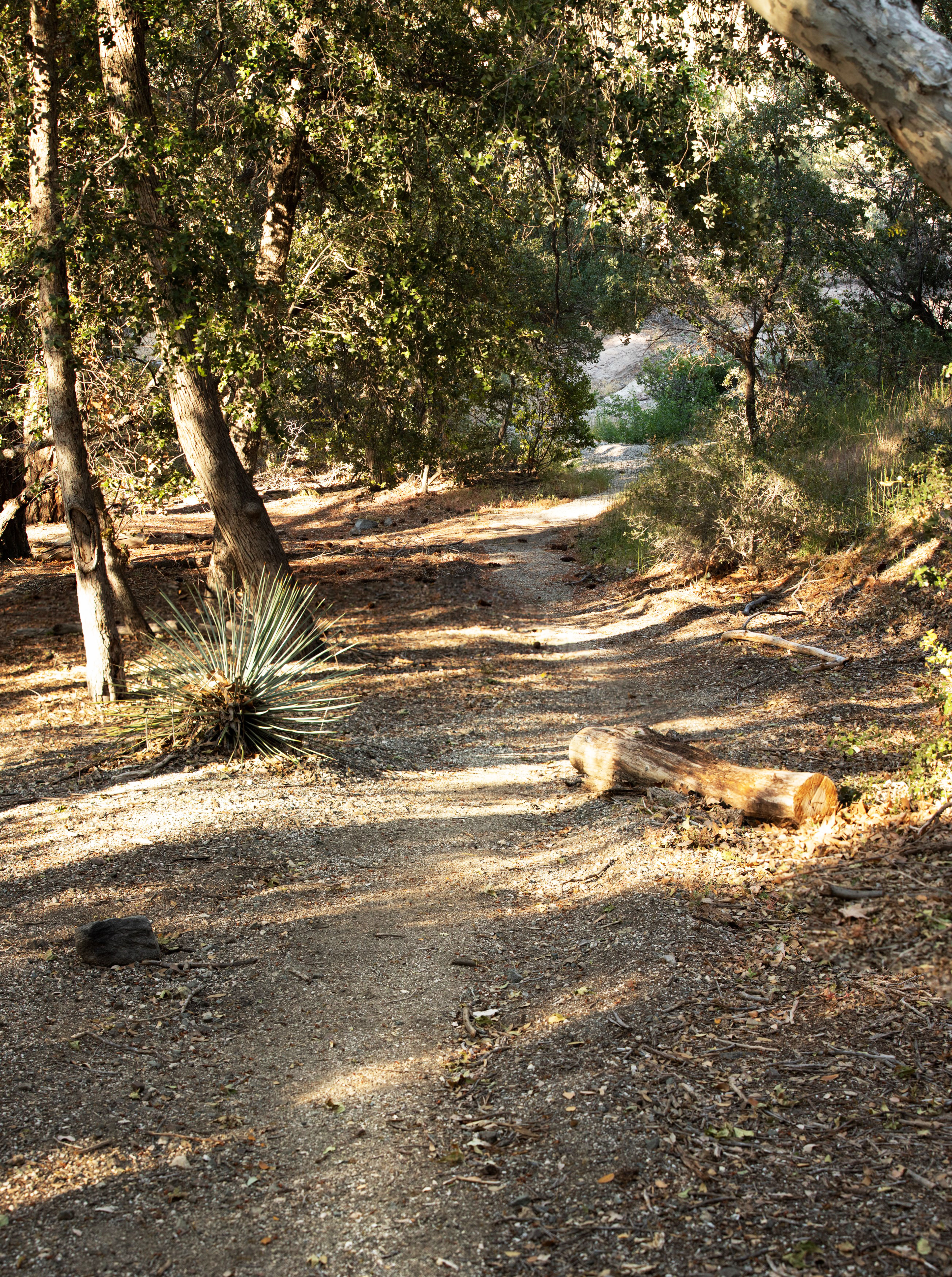 Southfork_Trail_Holcomb_Canyon.png