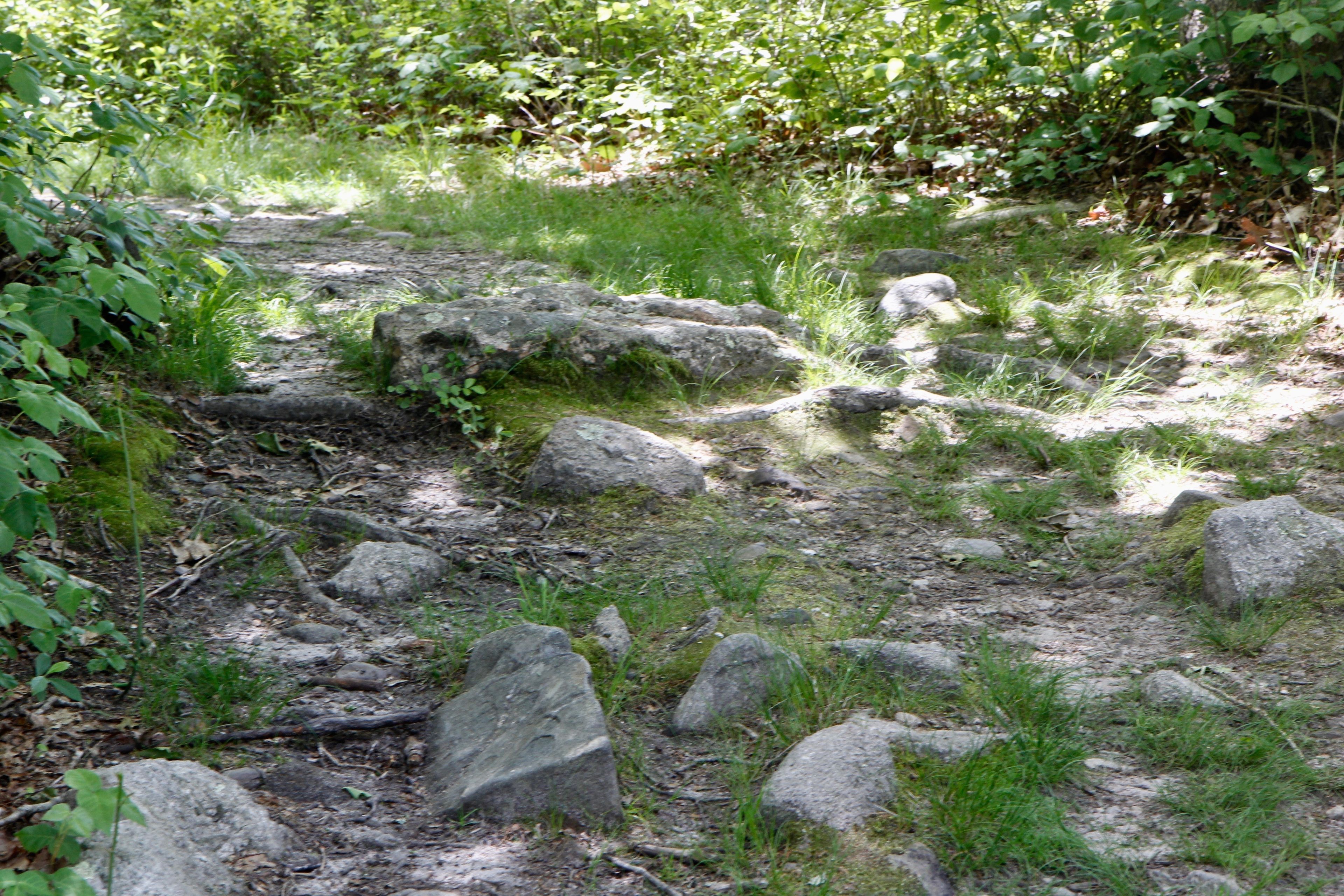 rocks along trail