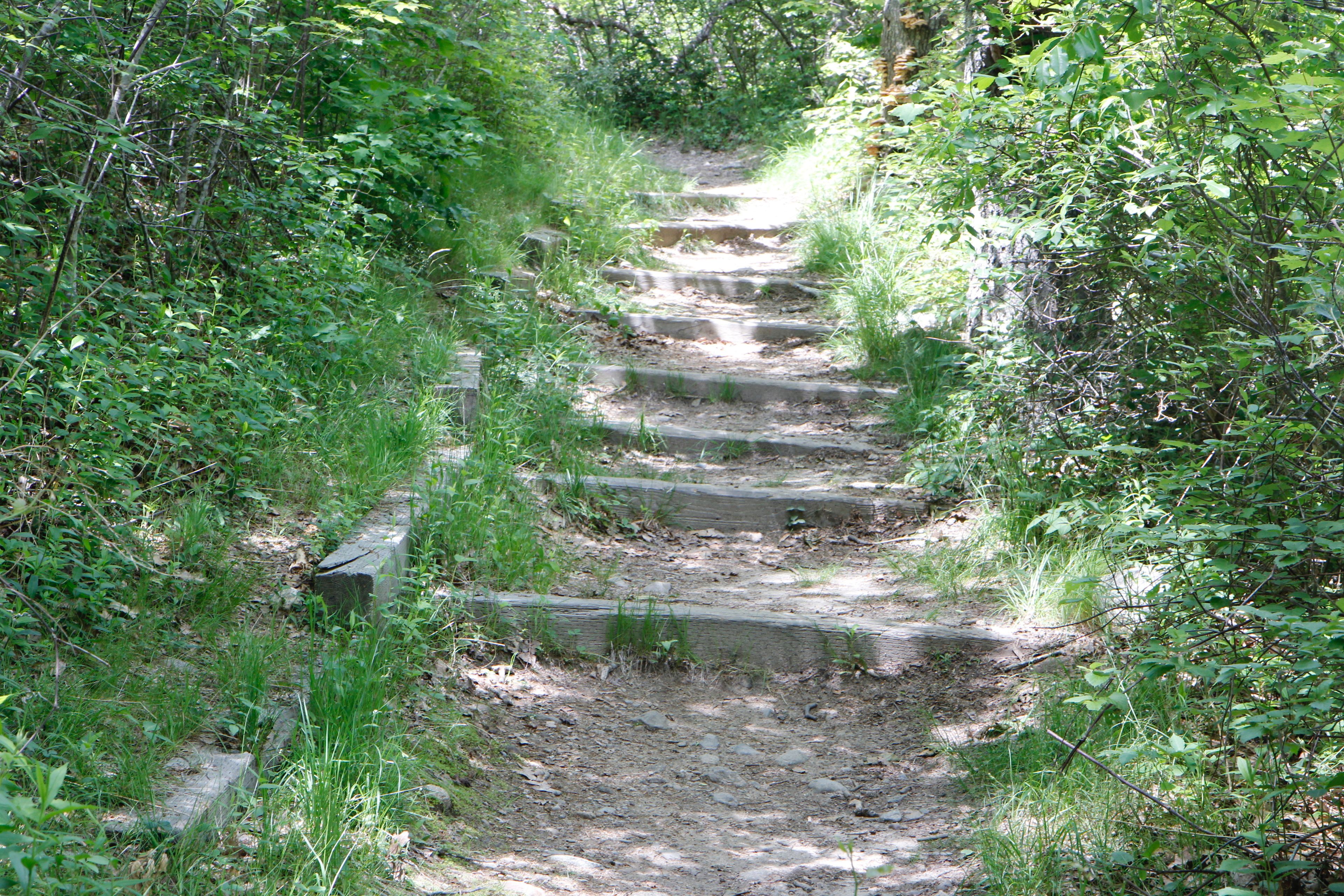 steps