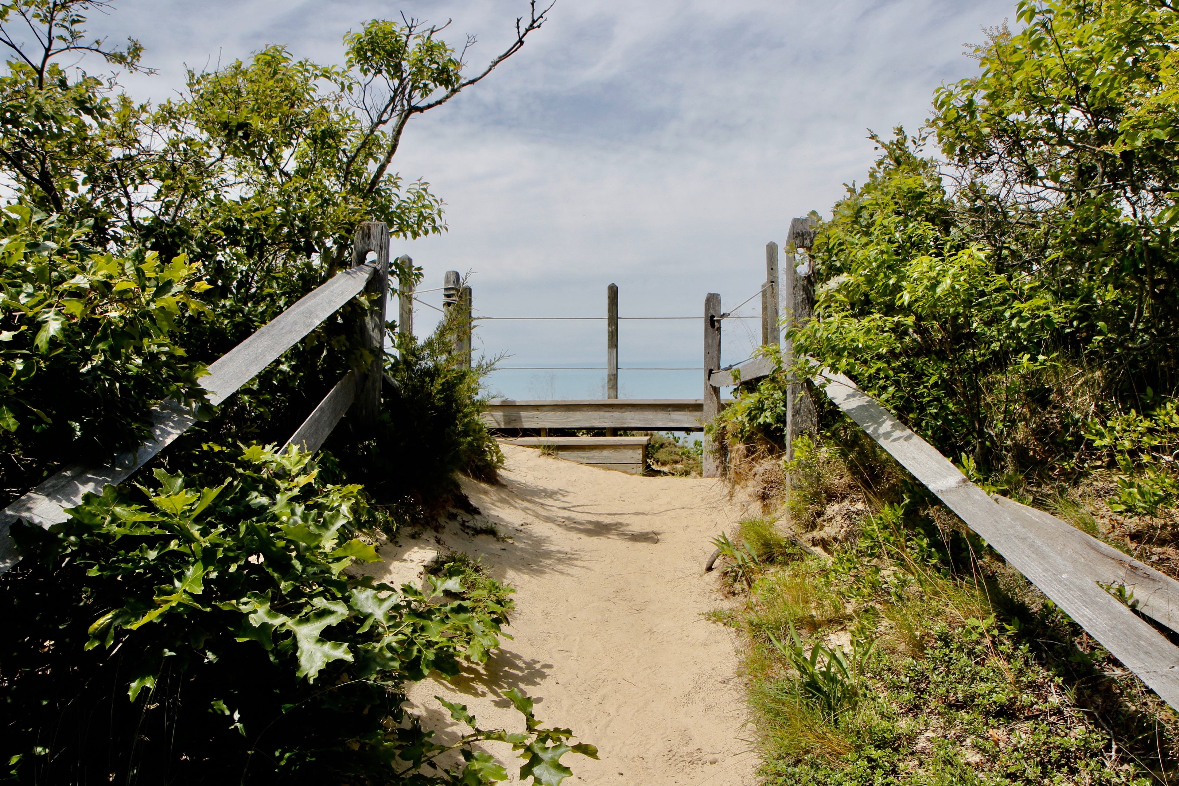 path to overlook