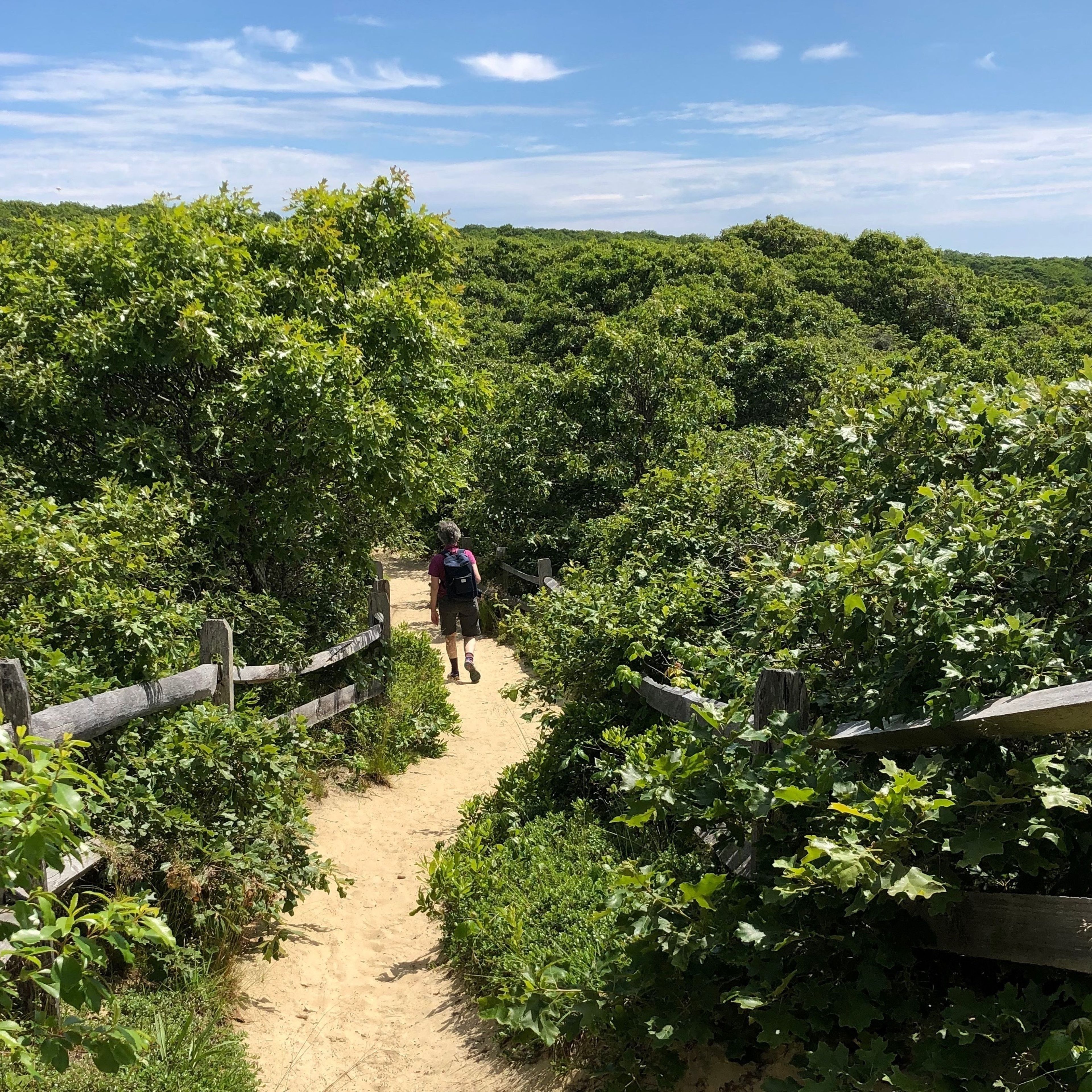 sandy path from overlook