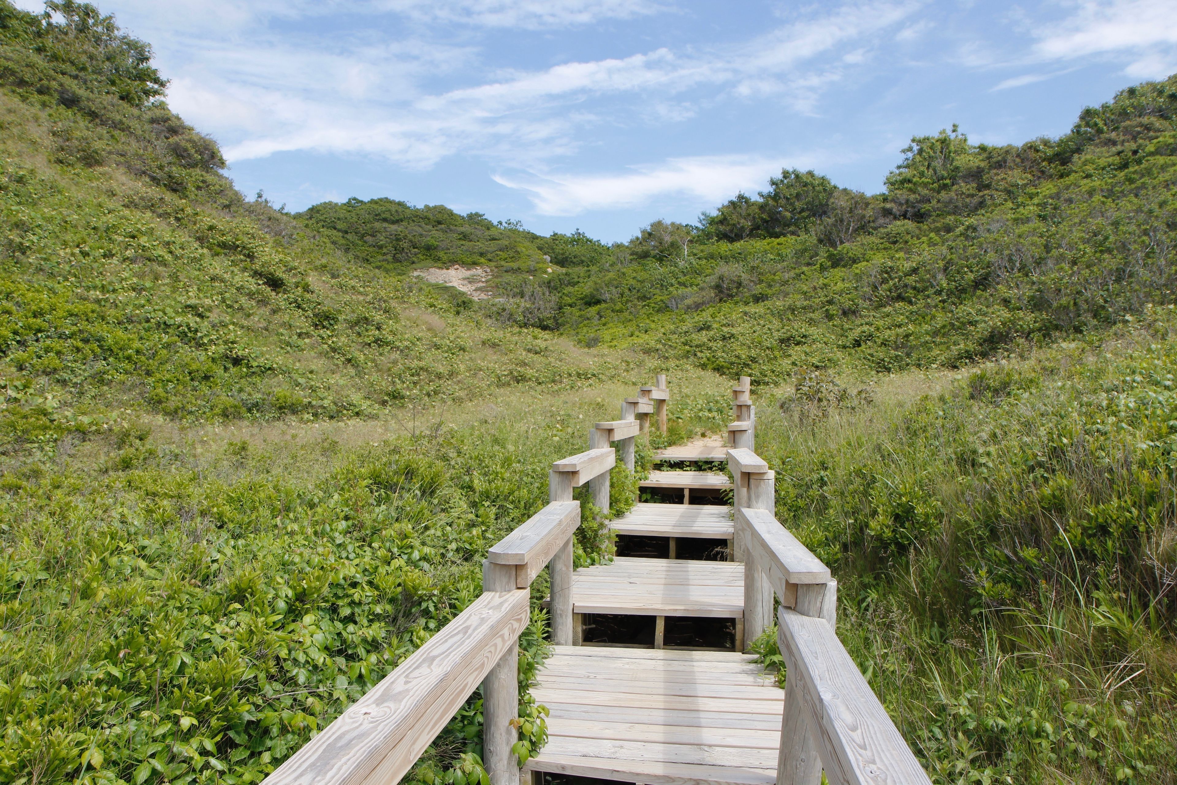 access from beach