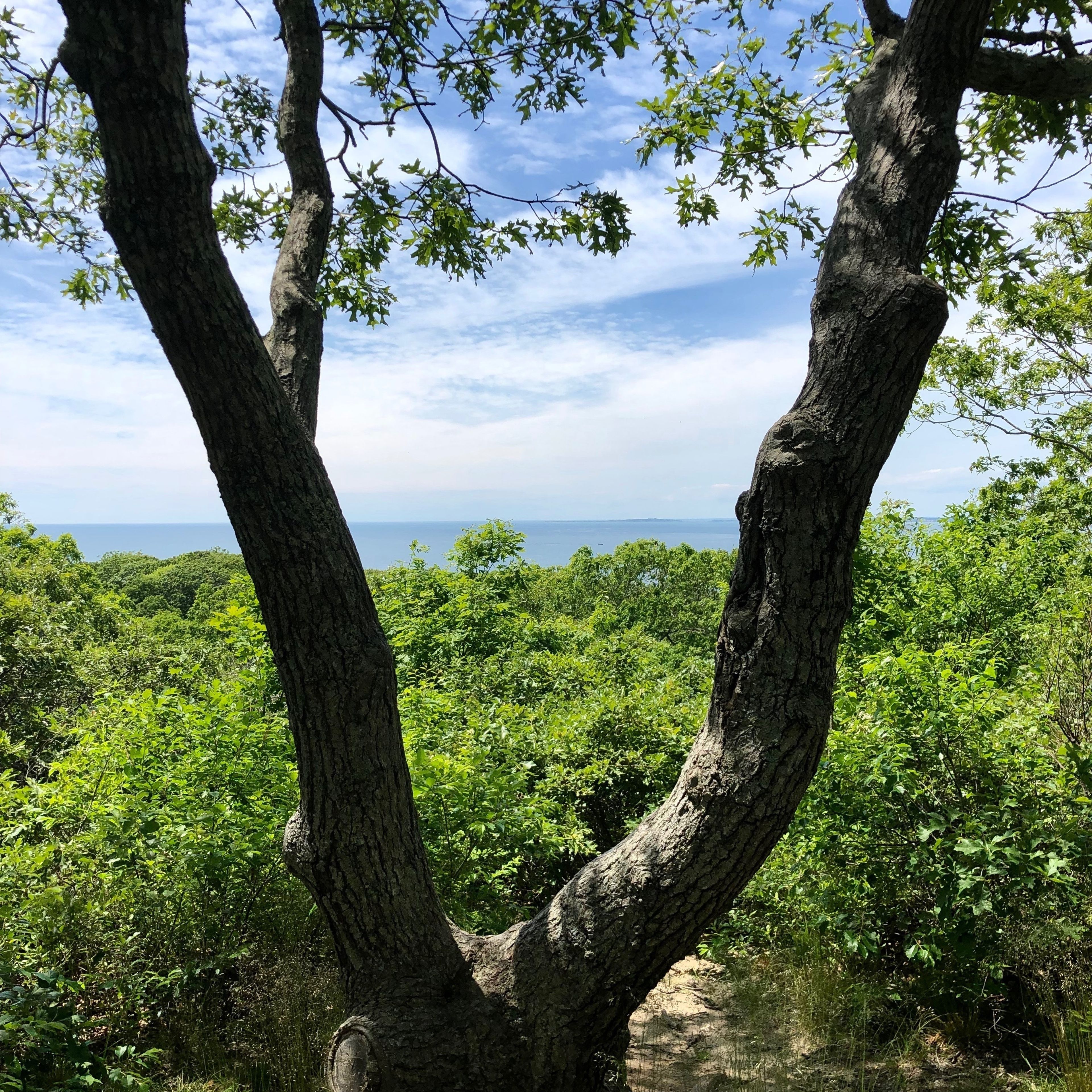 view of Sound in distance