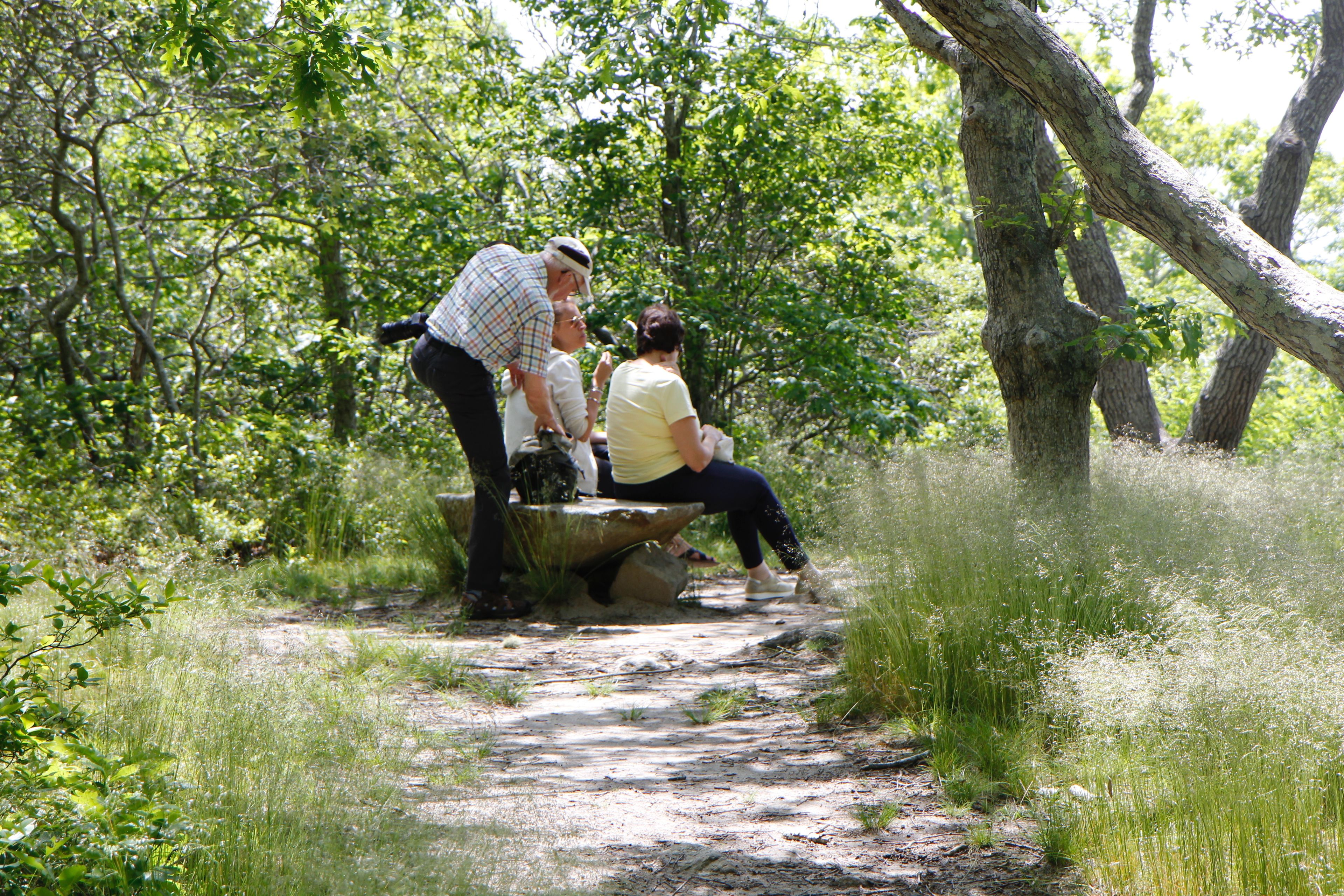 stone bench at overlook