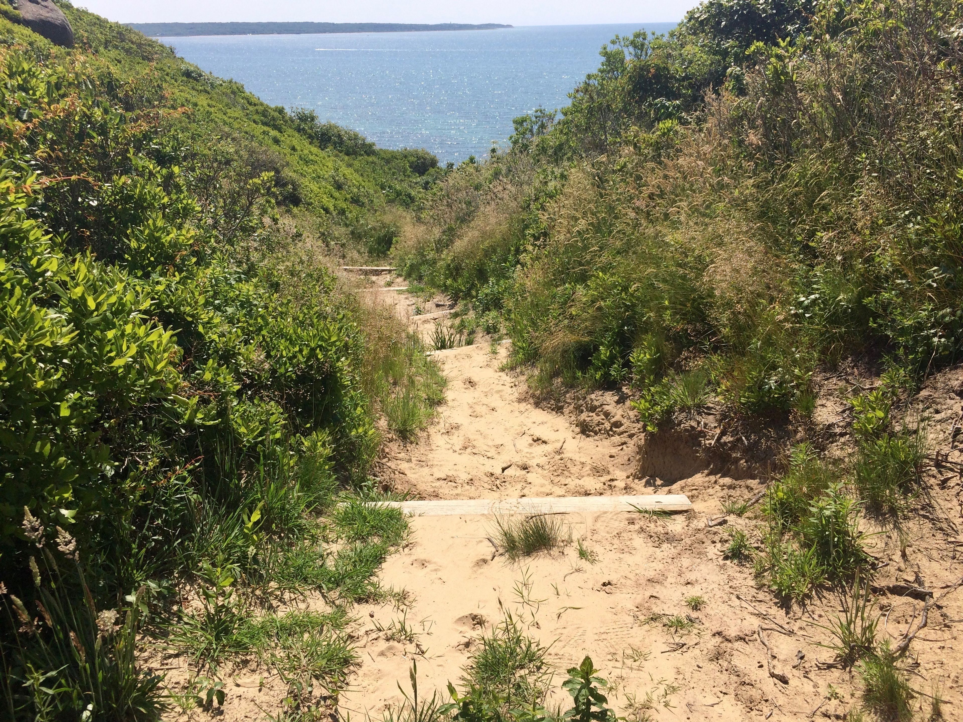 steps and sand down to beach