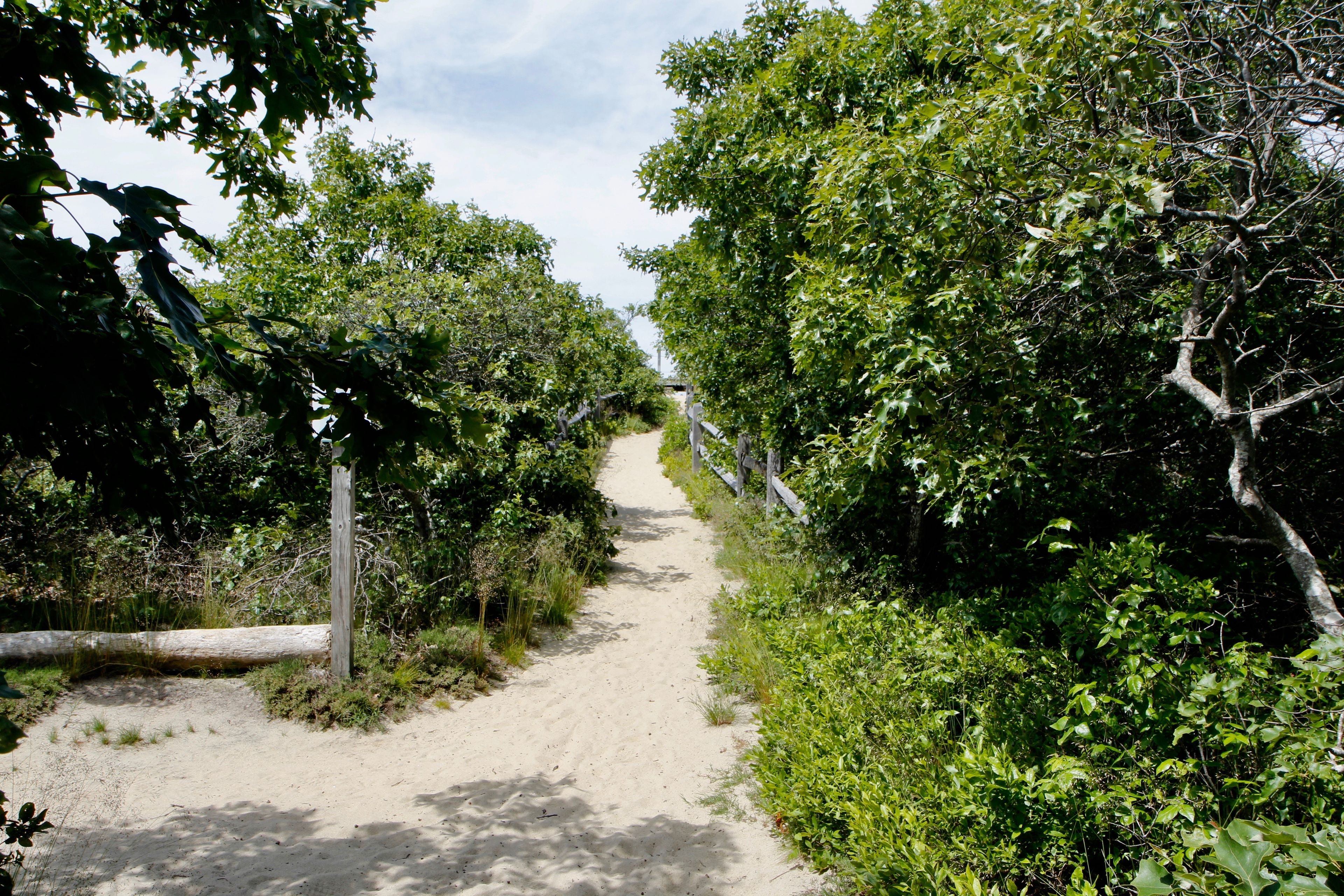 sandy path to viewpoint