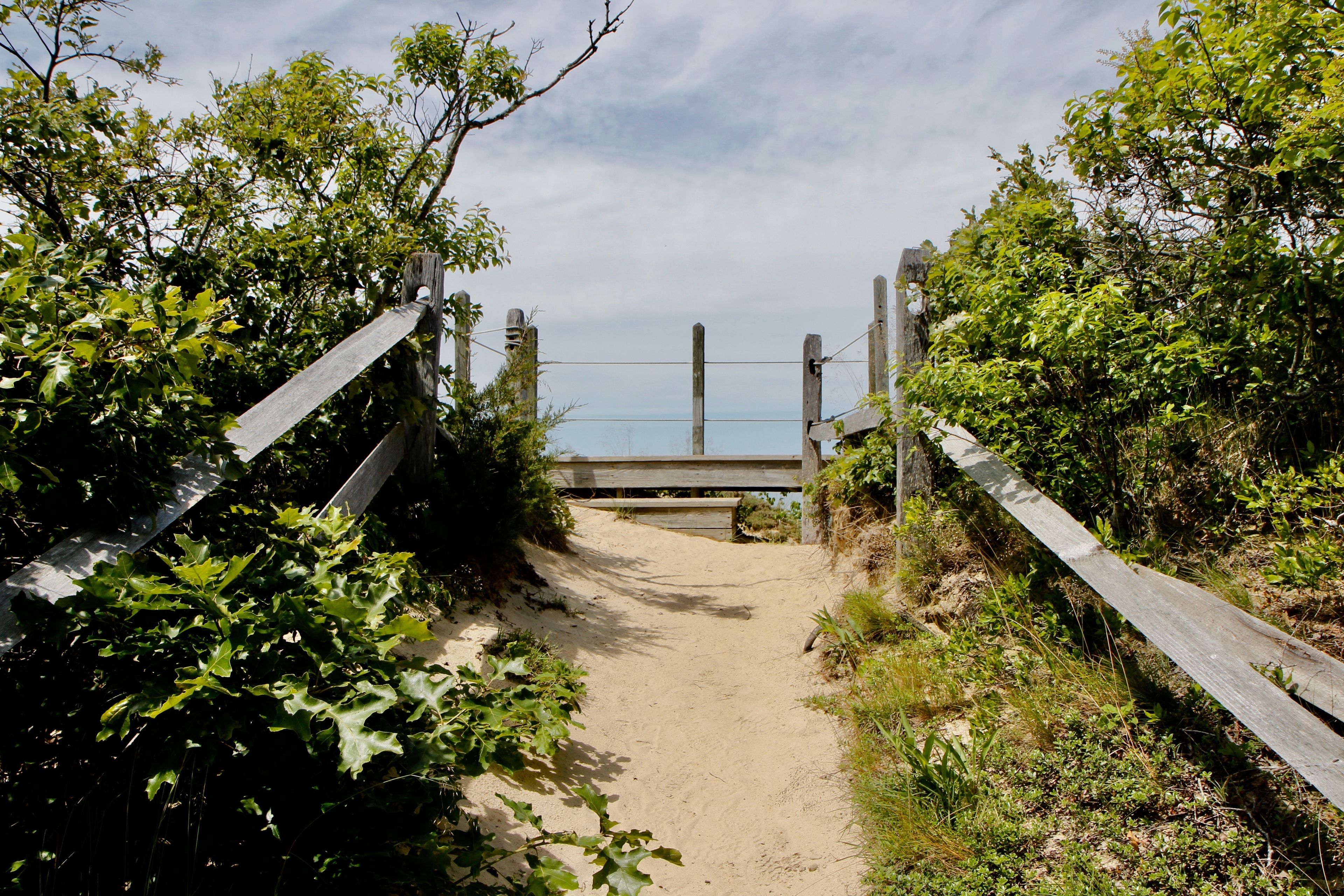 platform at viewpoint