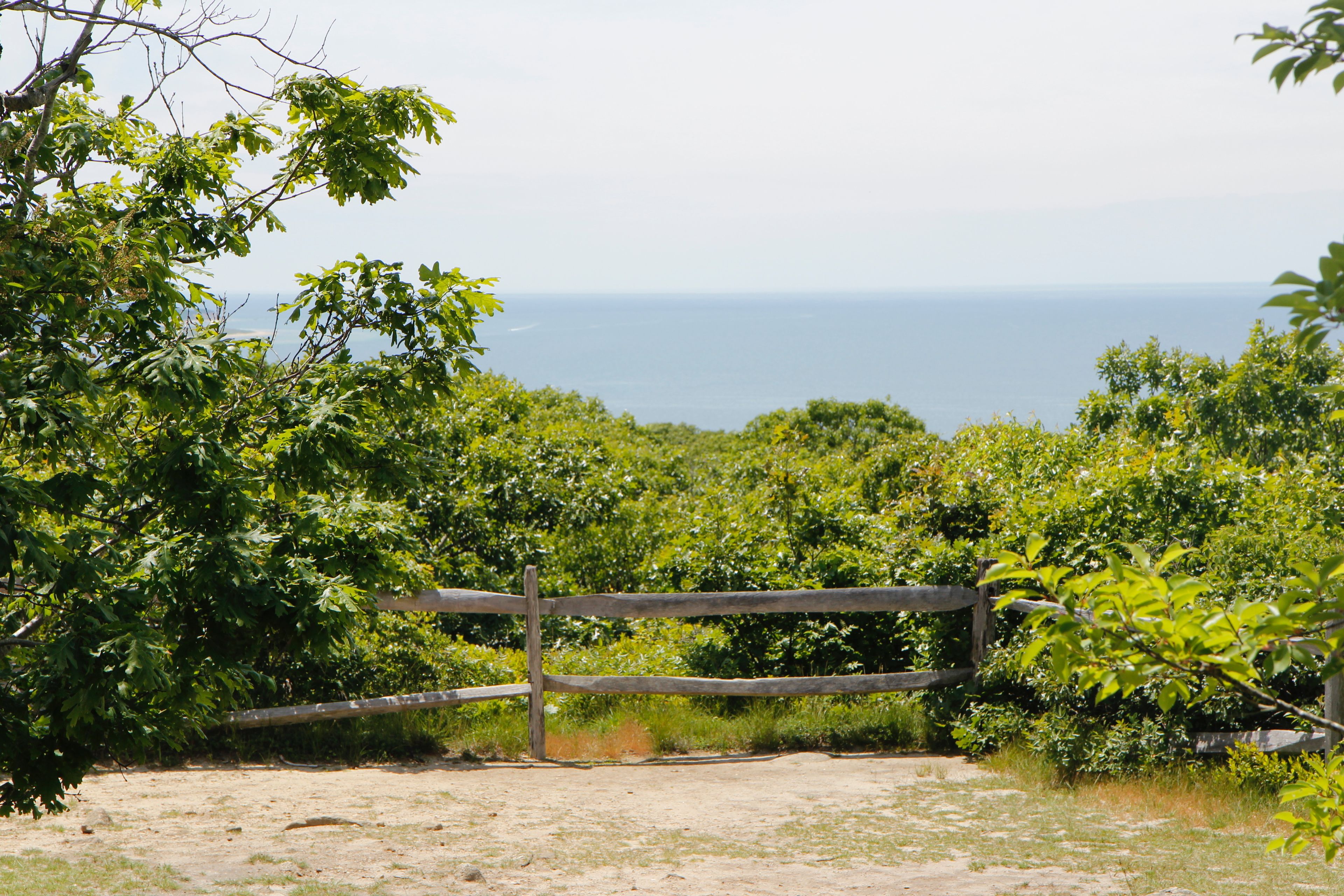 view from Prospect Hill