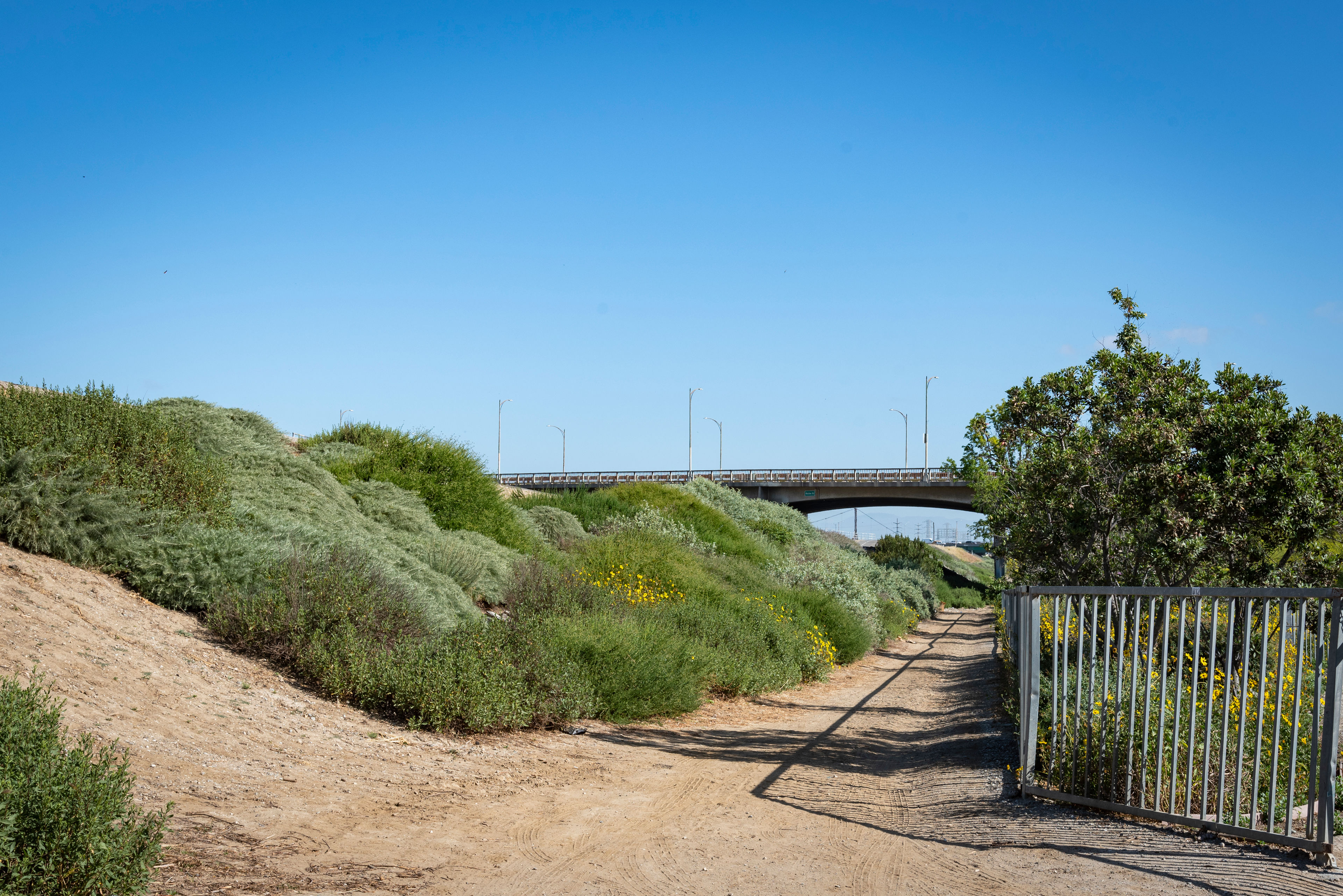 Lower Los Angeles River Trail