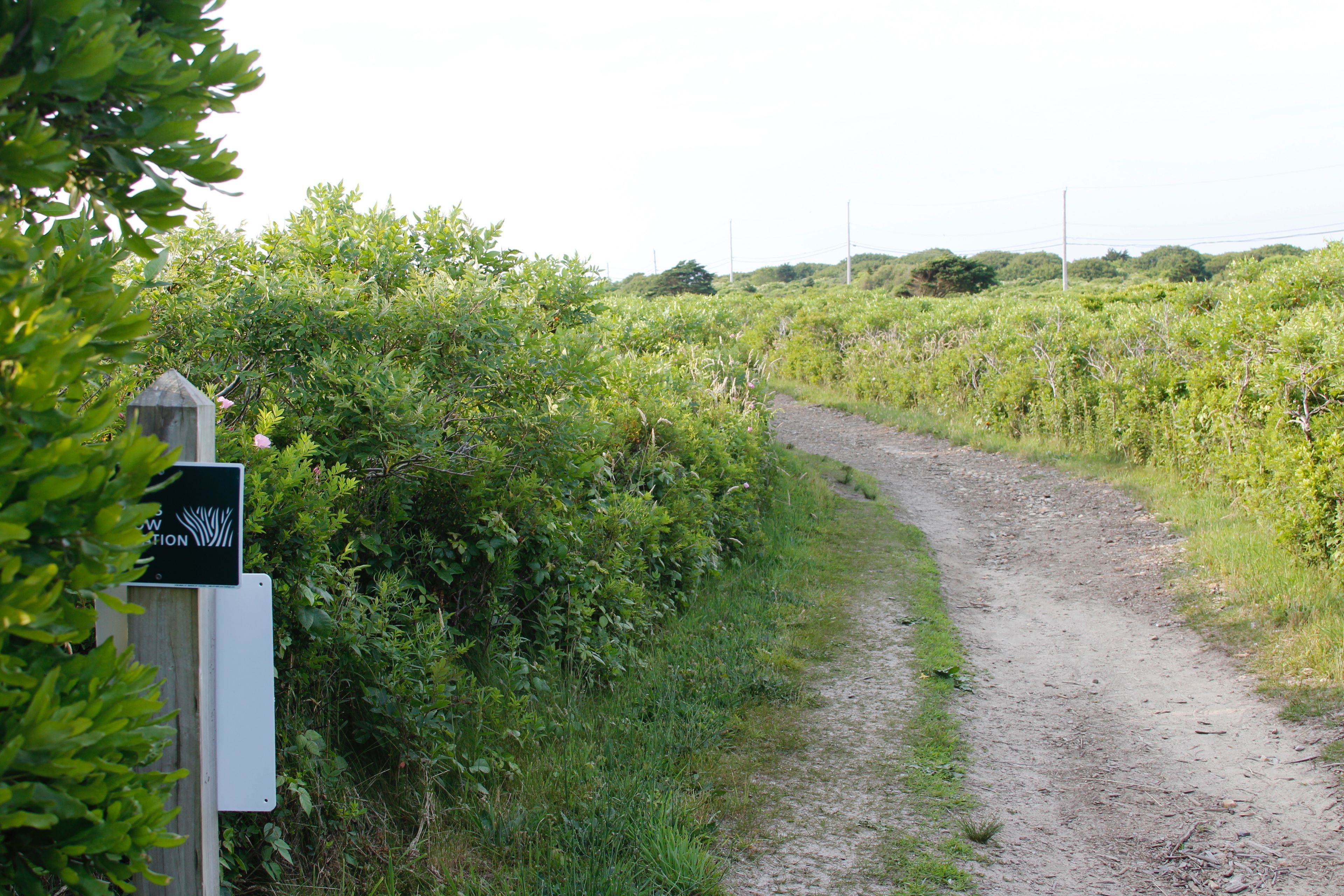 at intersection with AQ Headlands trails