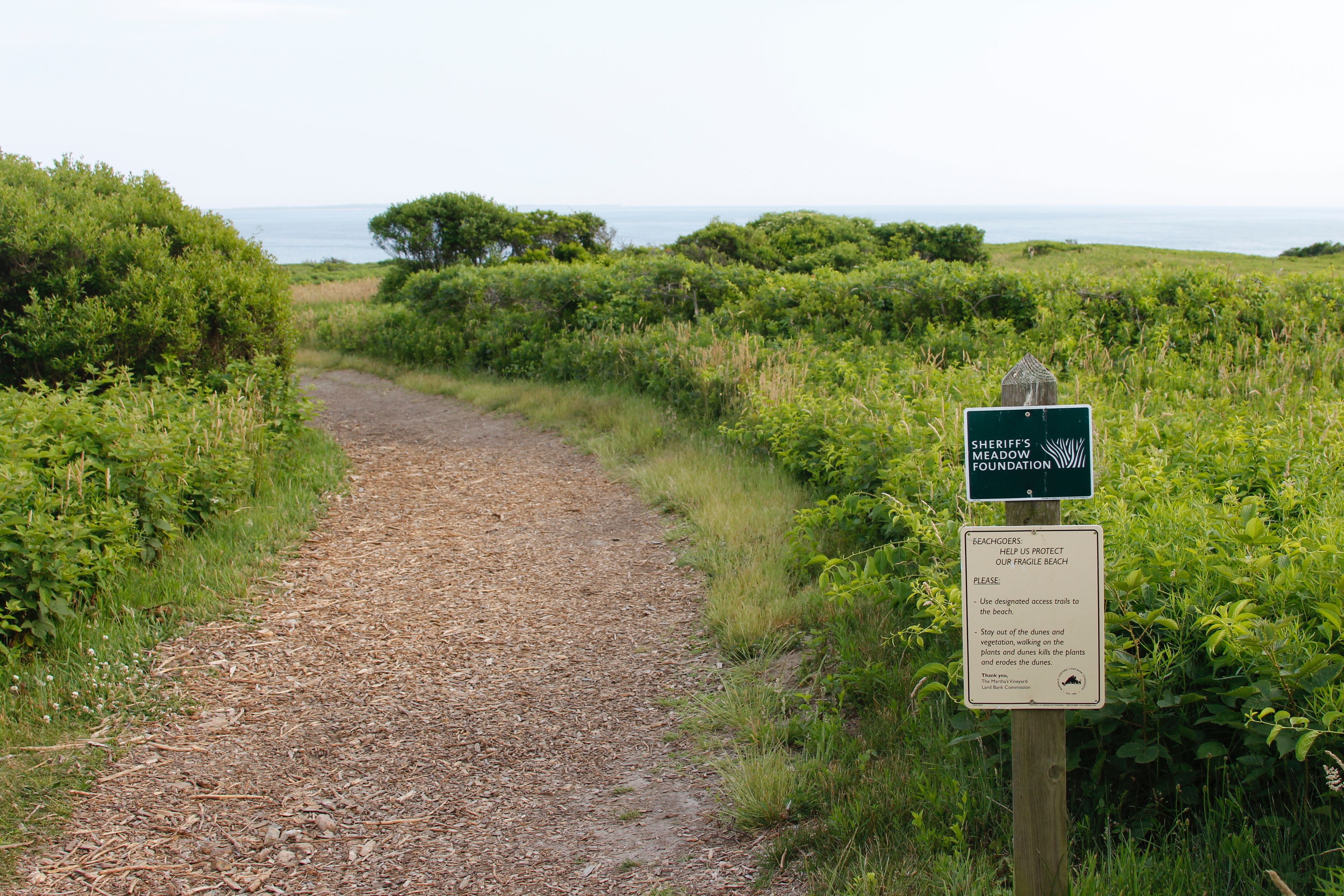 at intersection with AQ Headlands trails