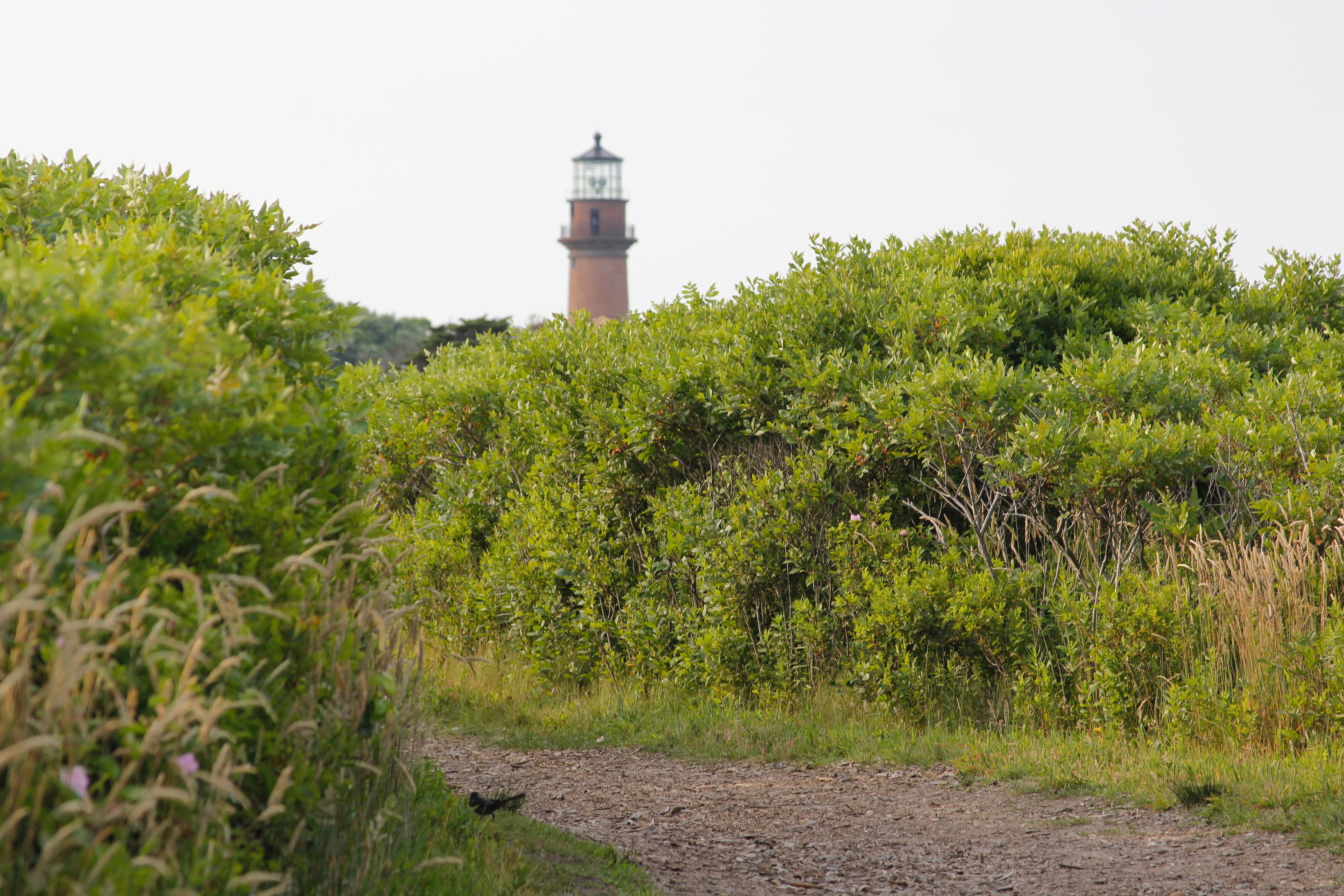 view of lighthouse from trail