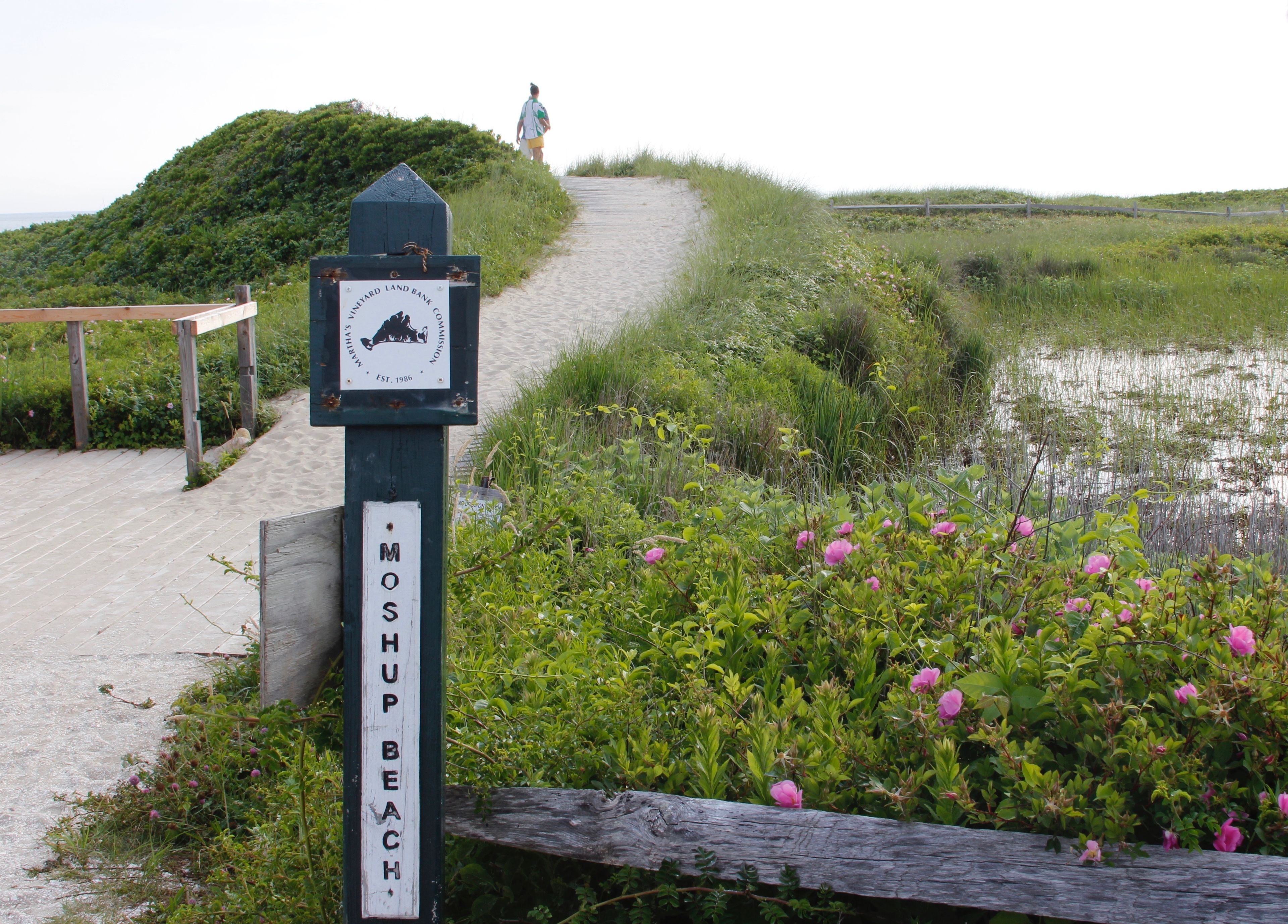 trailhead at Moshup Trail