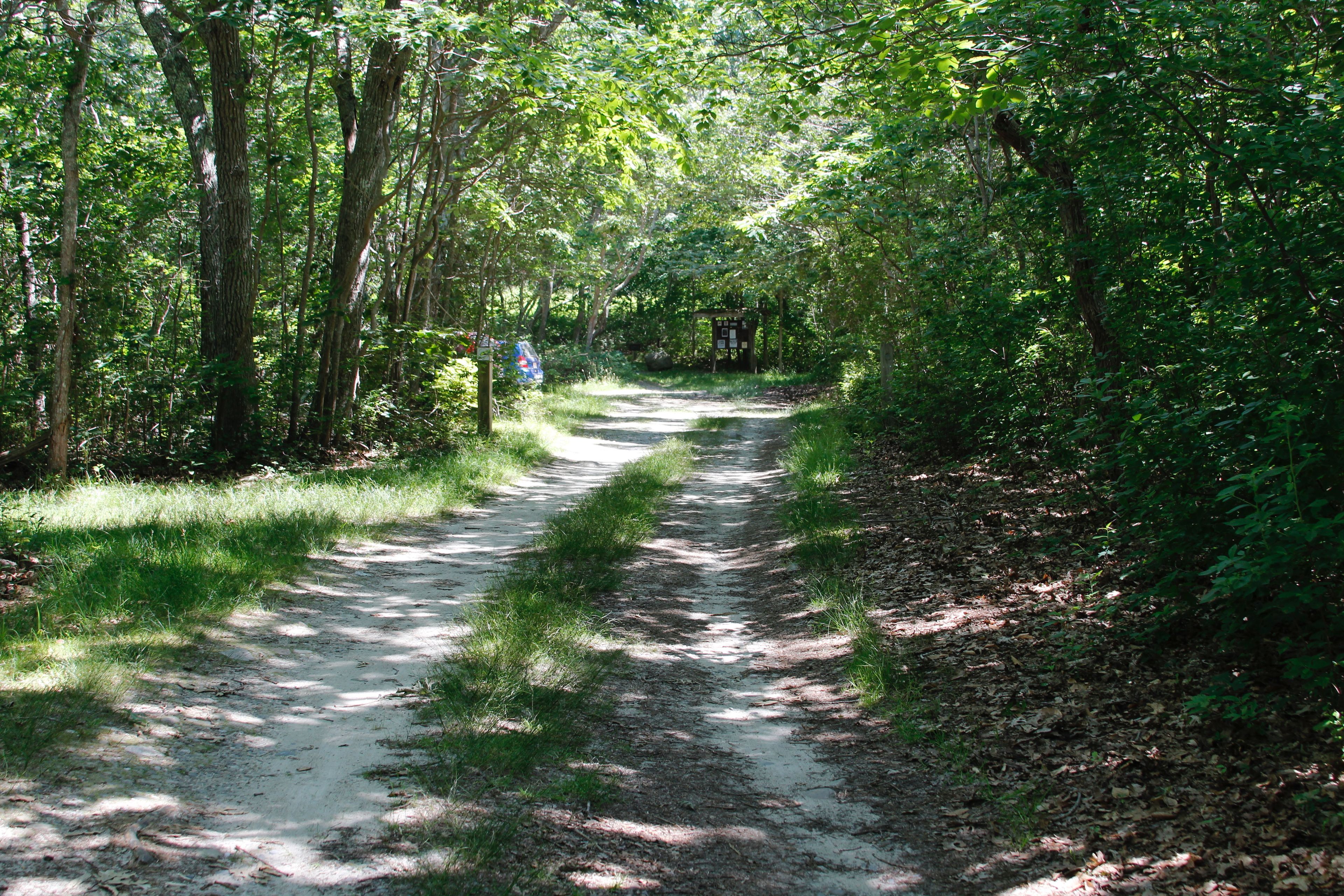 road in off of Beach Rose Way