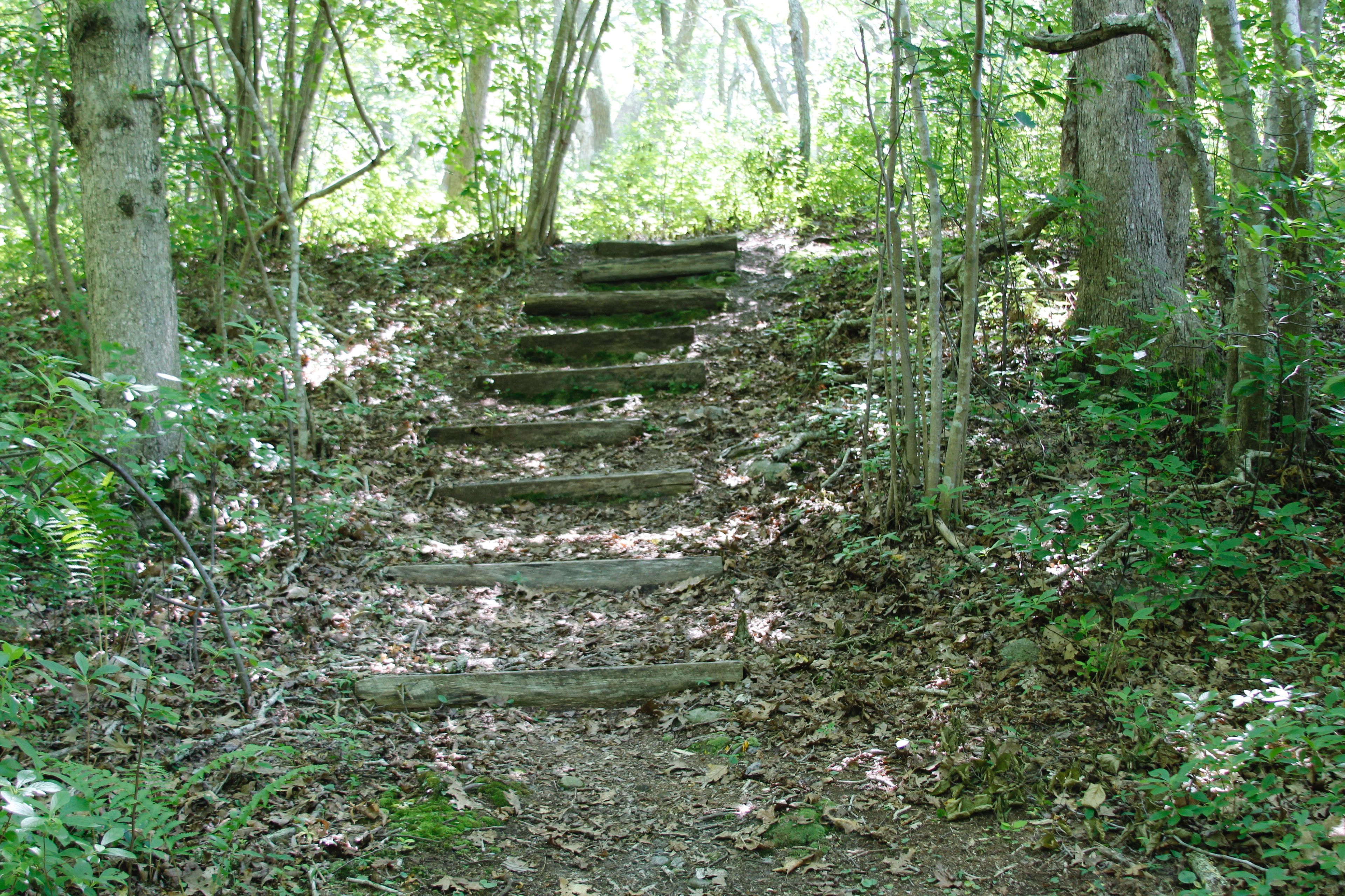 steps down on western side of loop trail