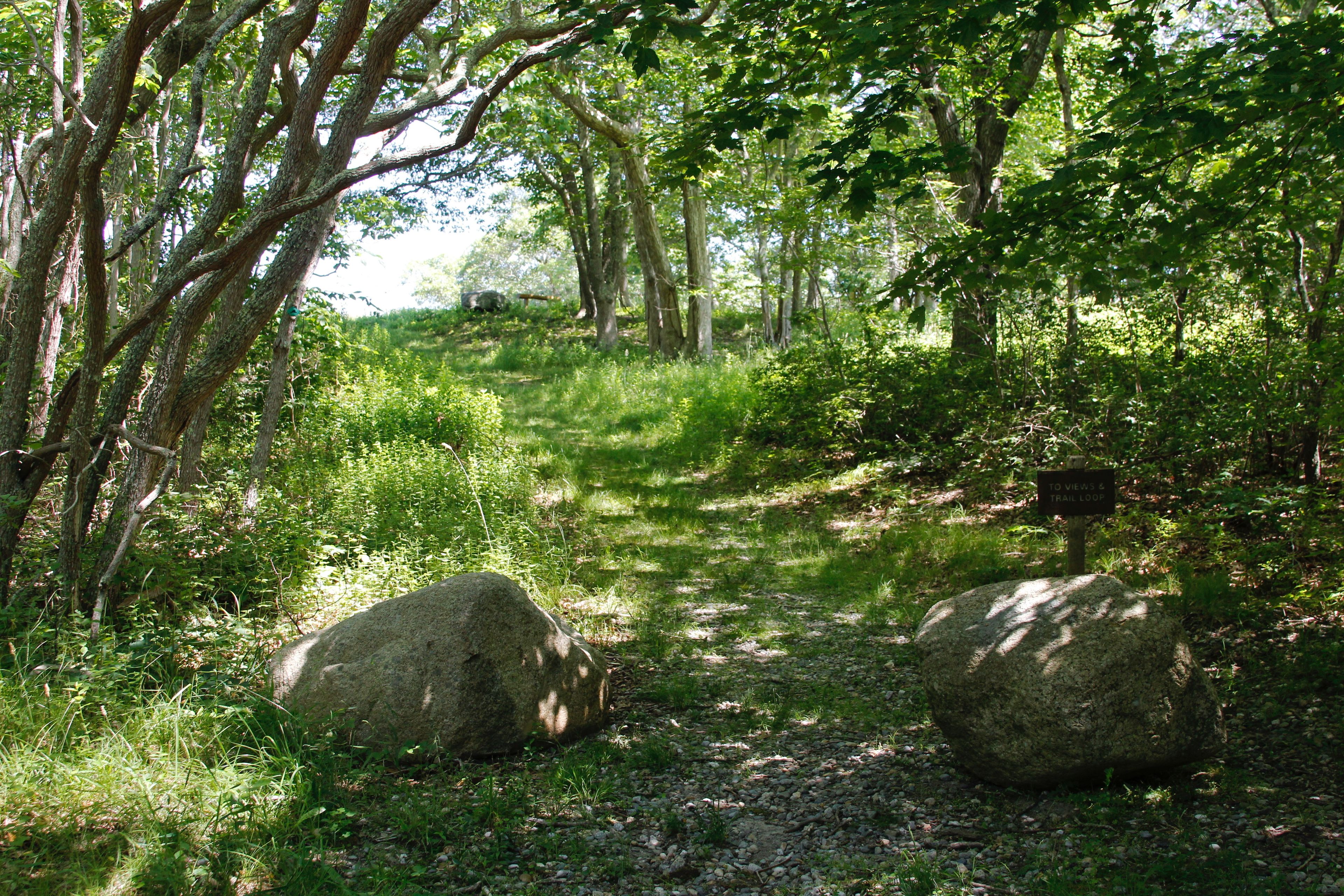 trail leading to viewpoint