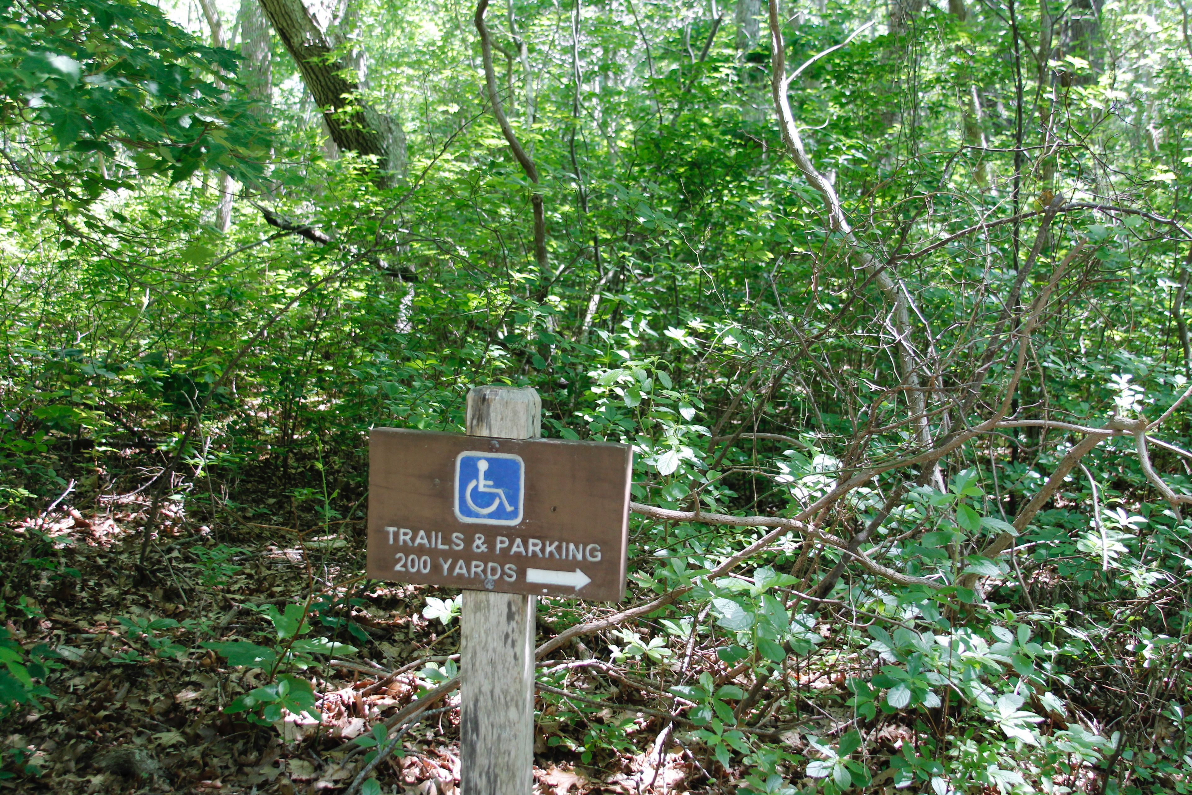 trail leading to HC parking 