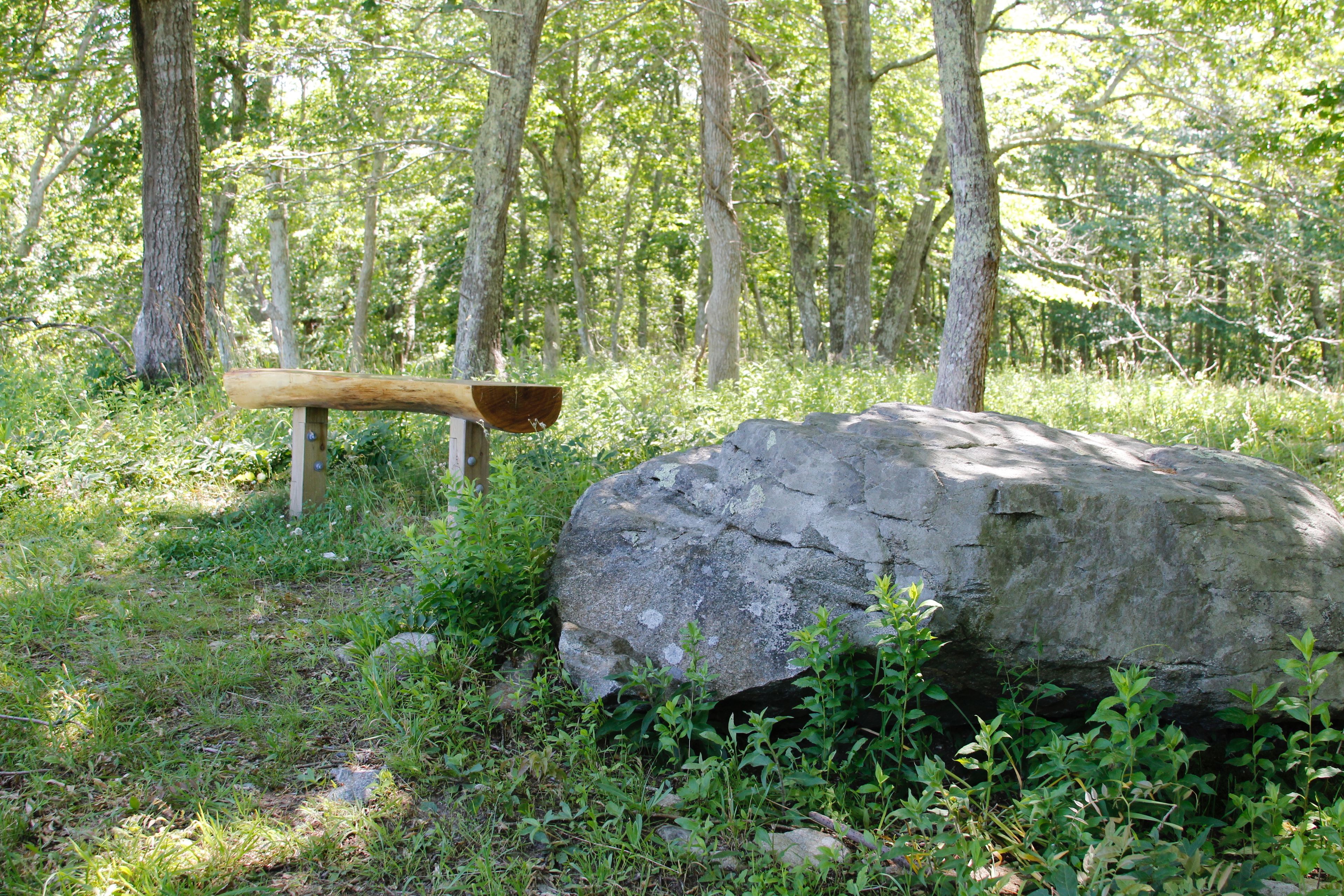 bench at the top of the path