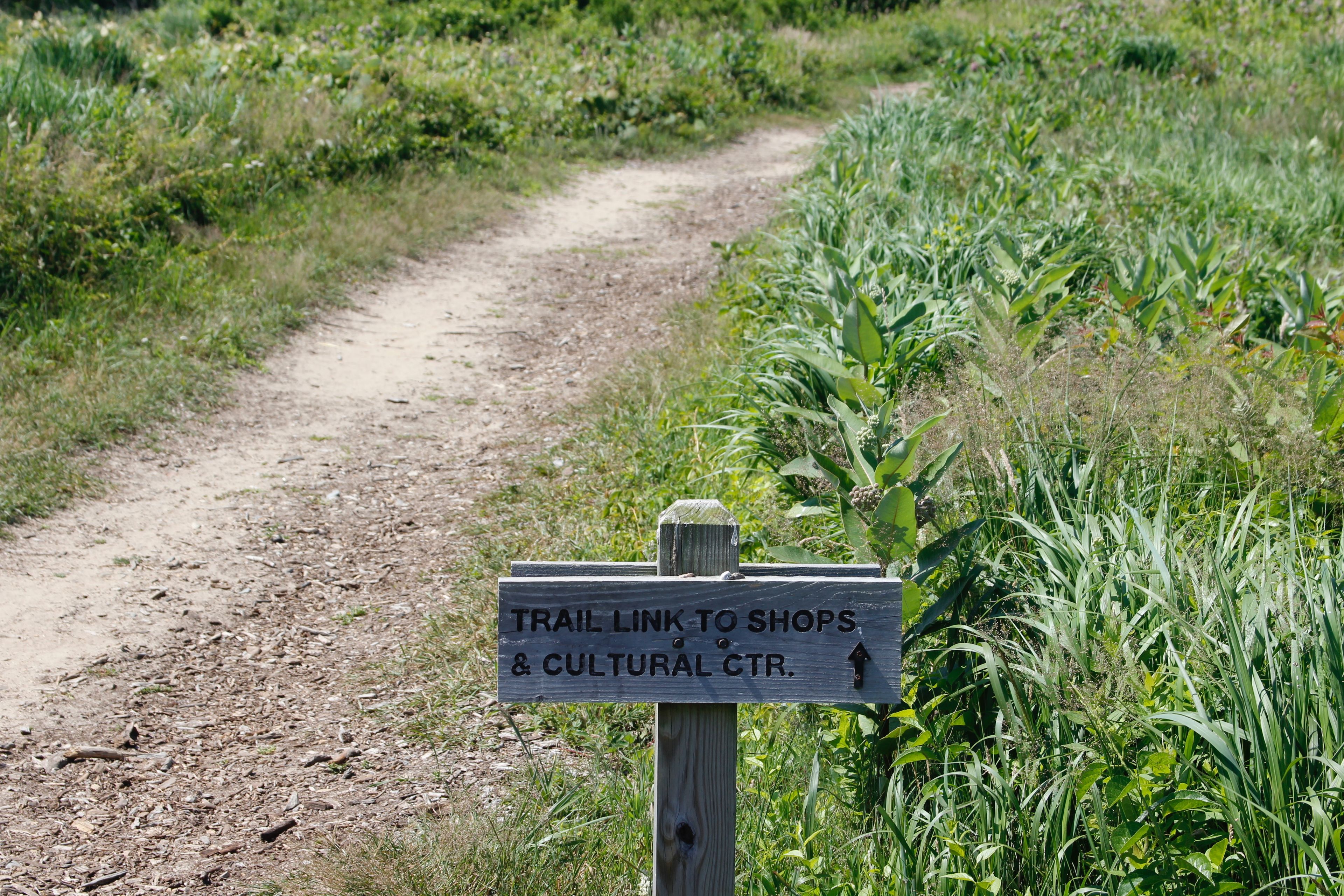 at intersection with trail no 6