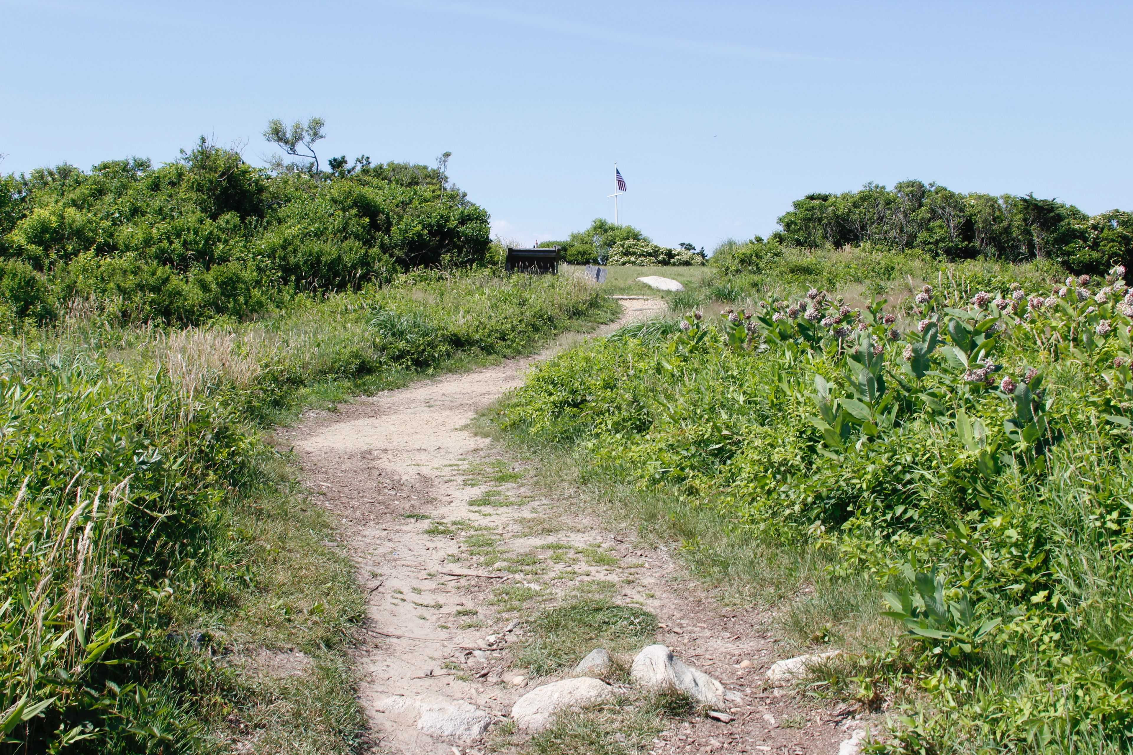 somewhat rocky path