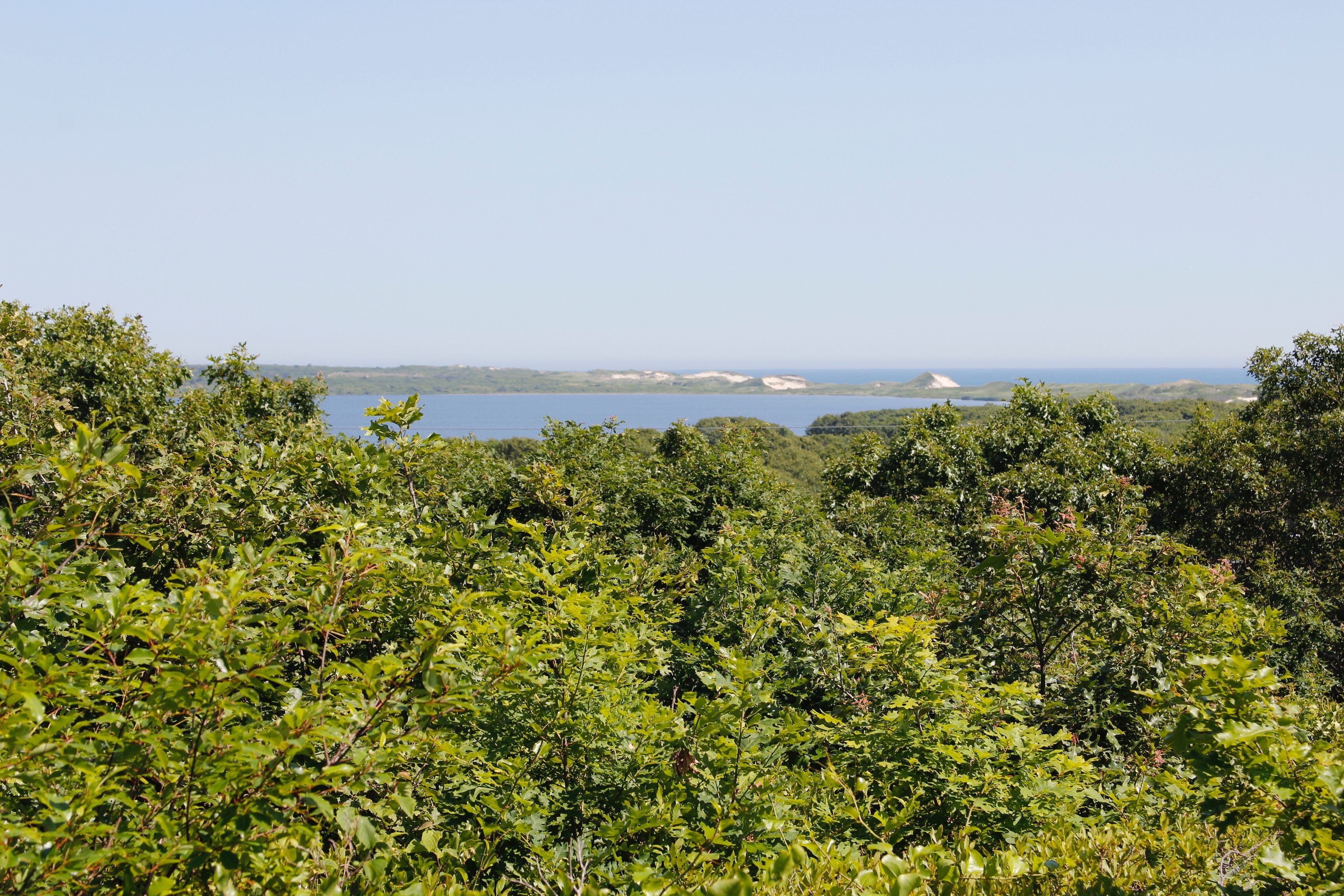 summer view of Squibnocket