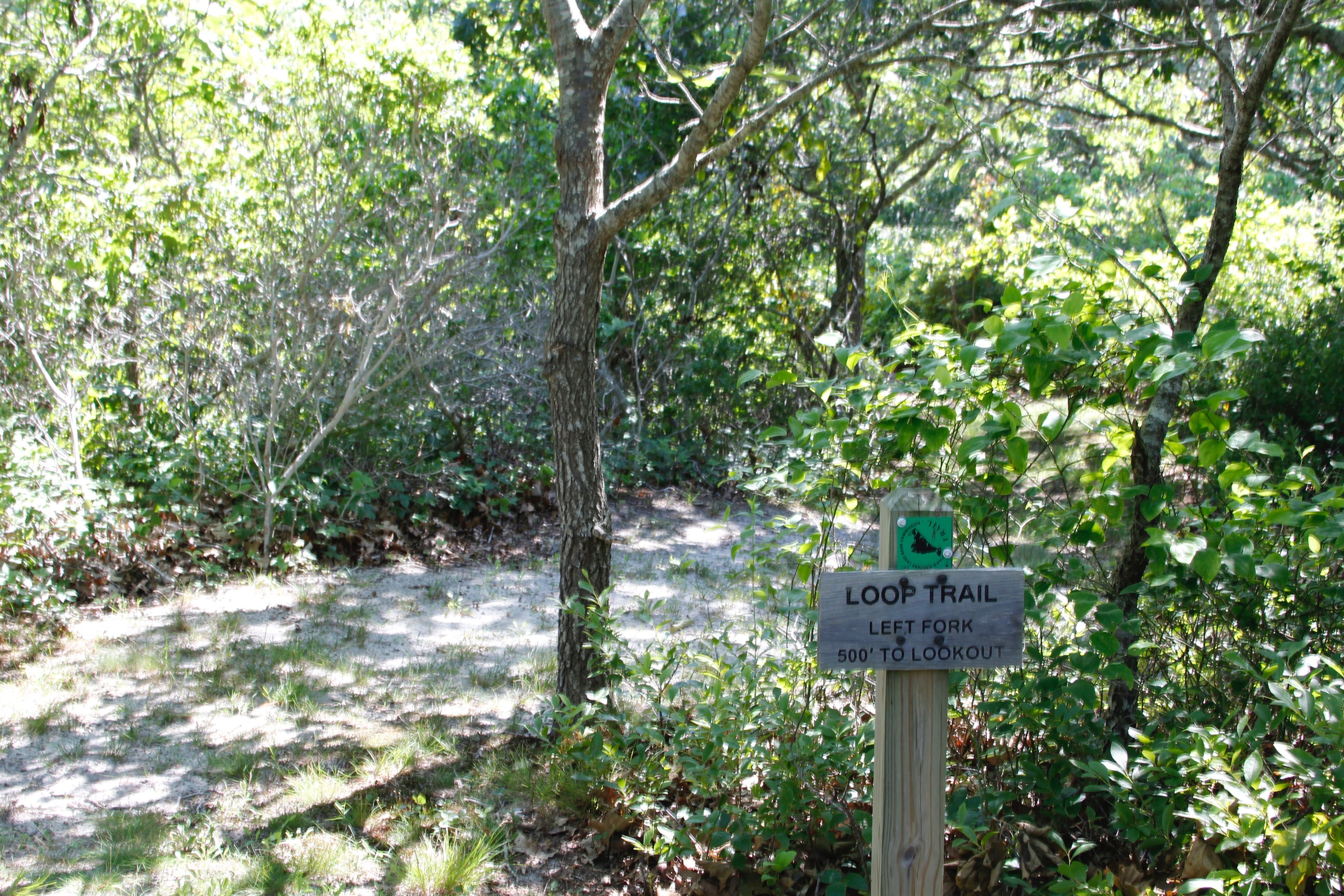 at beginning of loop trail