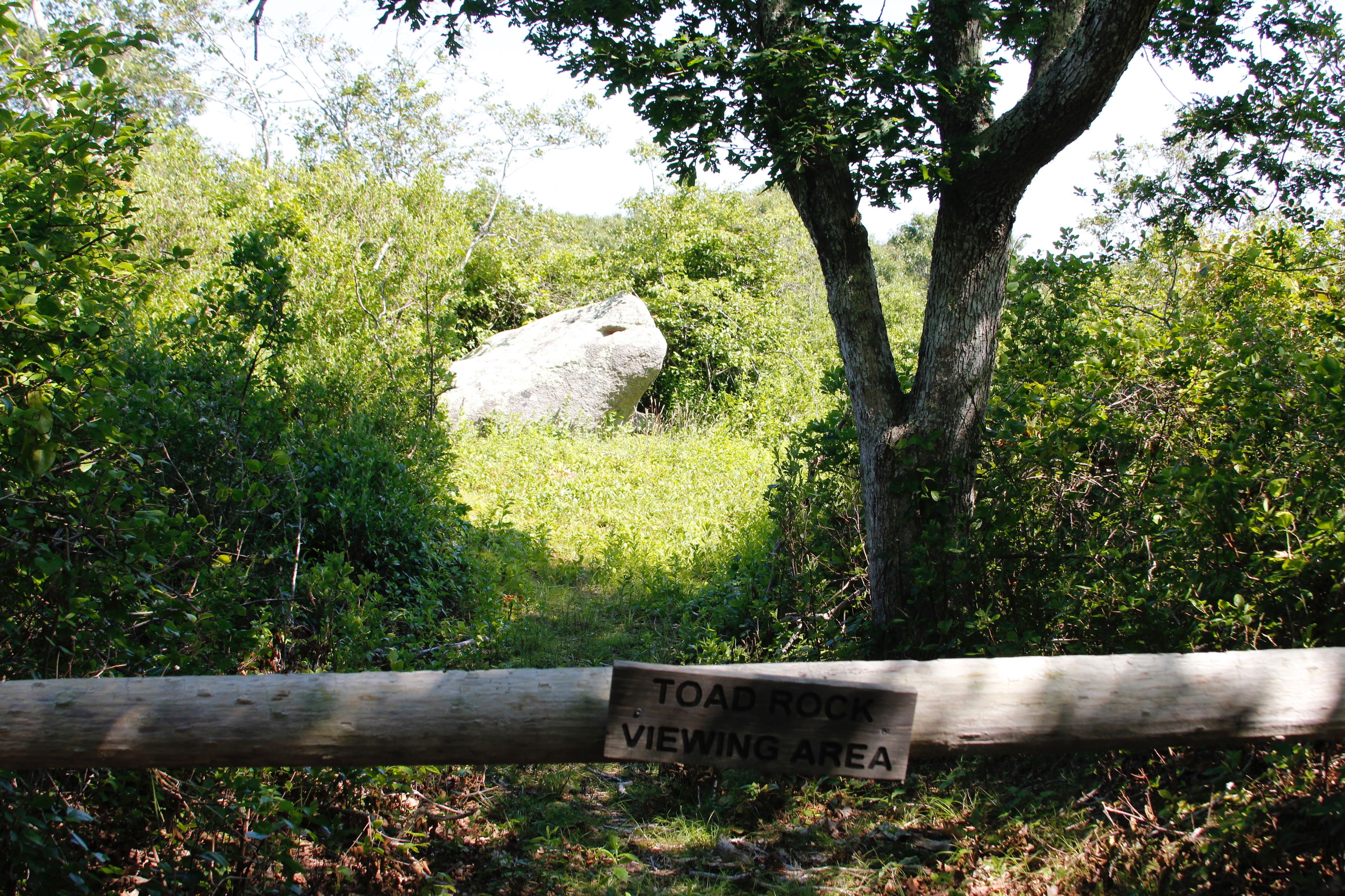 Toad Rock viewing point