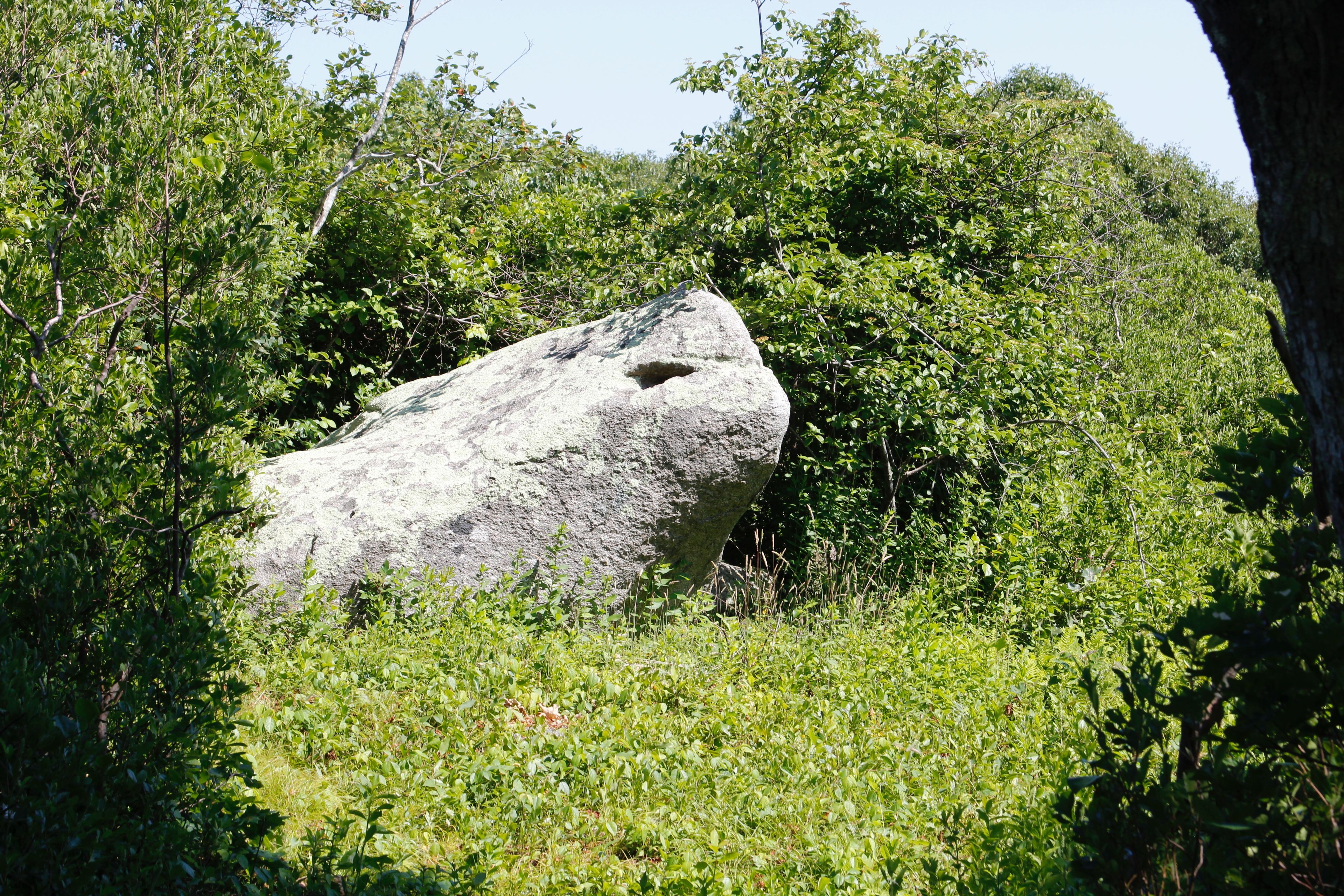 Toad Rock