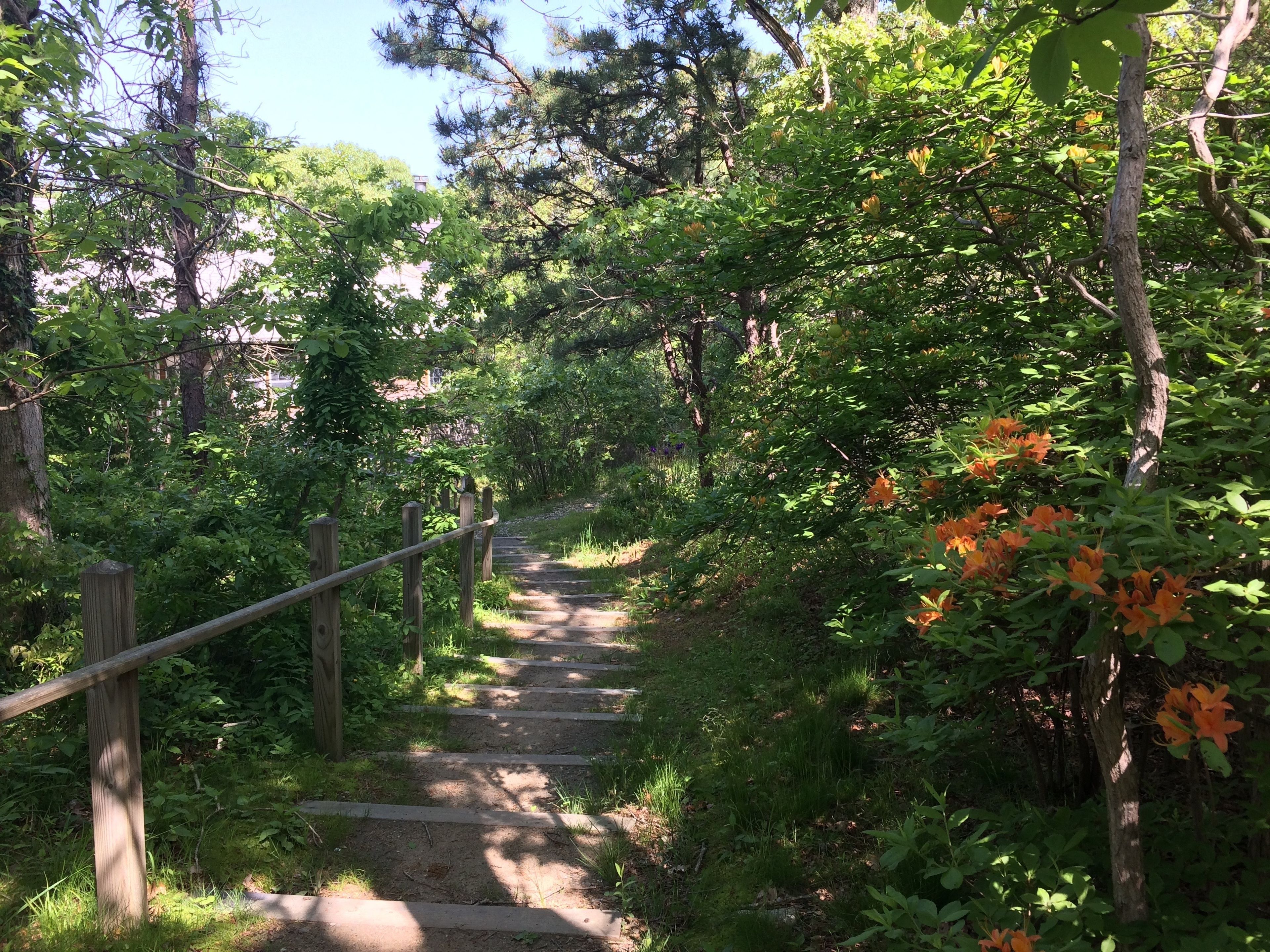 Steps leading down to Wakeman Center