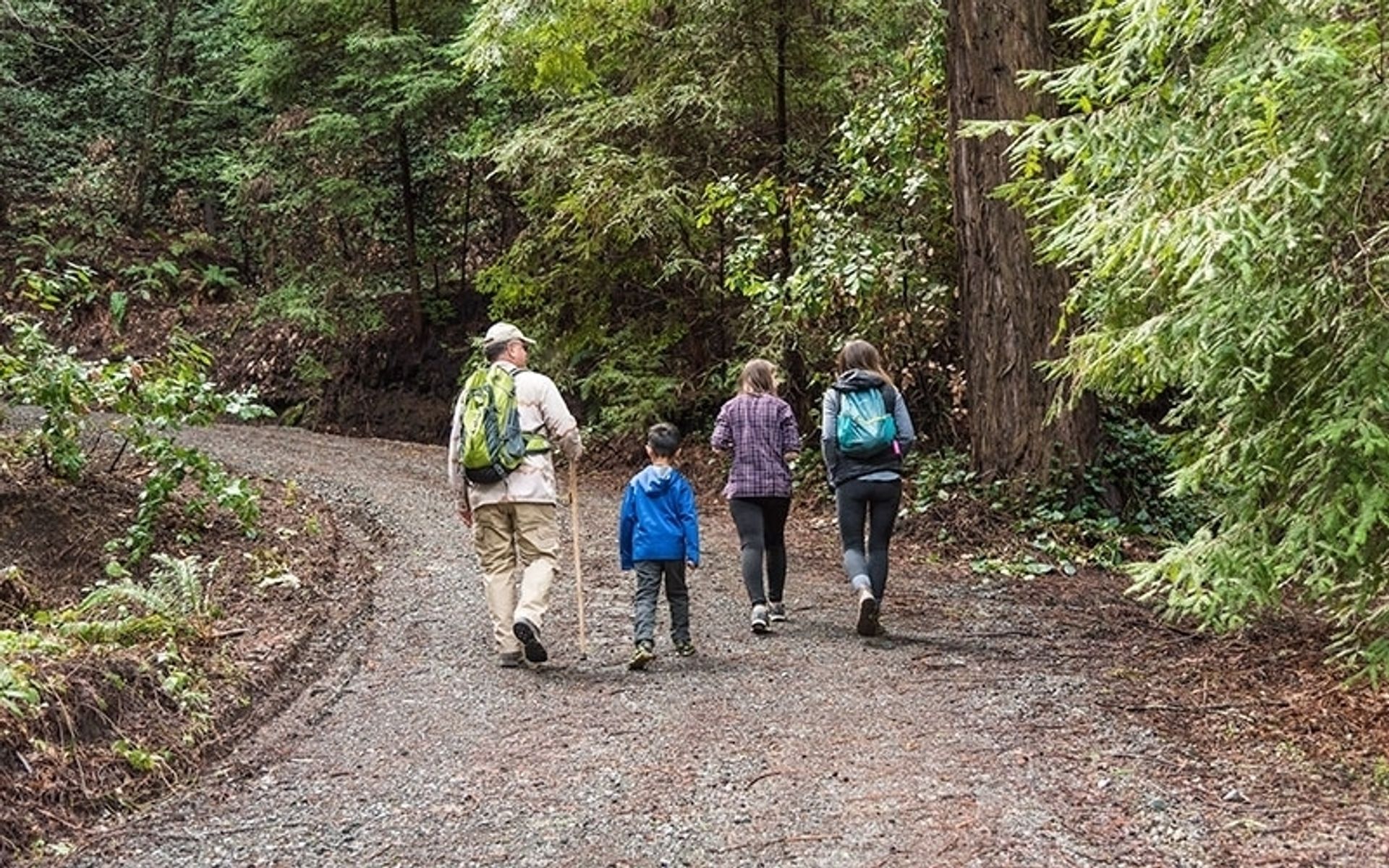 Hikers on the Alma Trail.