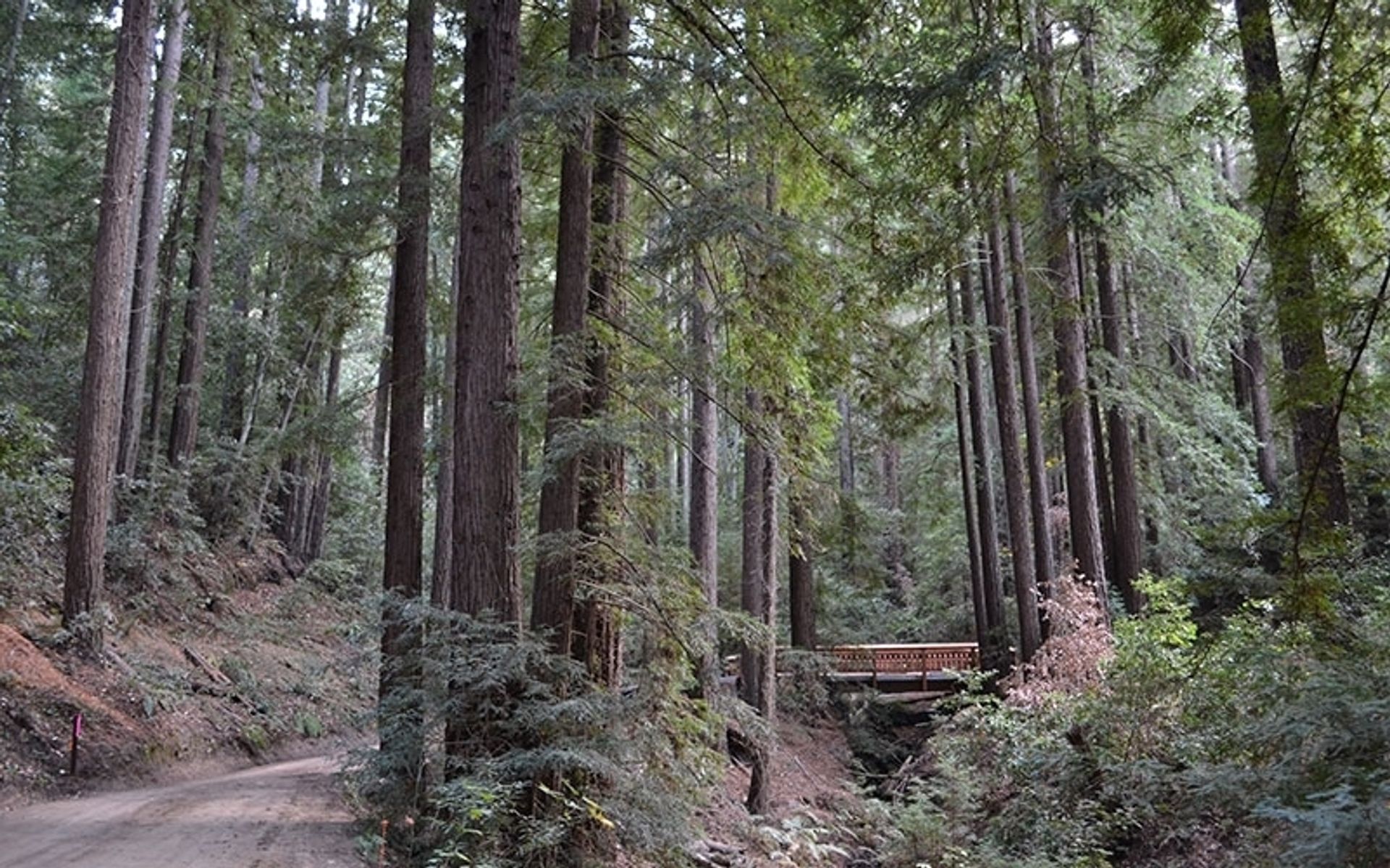 Web Creek bridge.