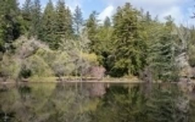 The easy-access trail around Upper Lake features a self-guided interpretive tour.
