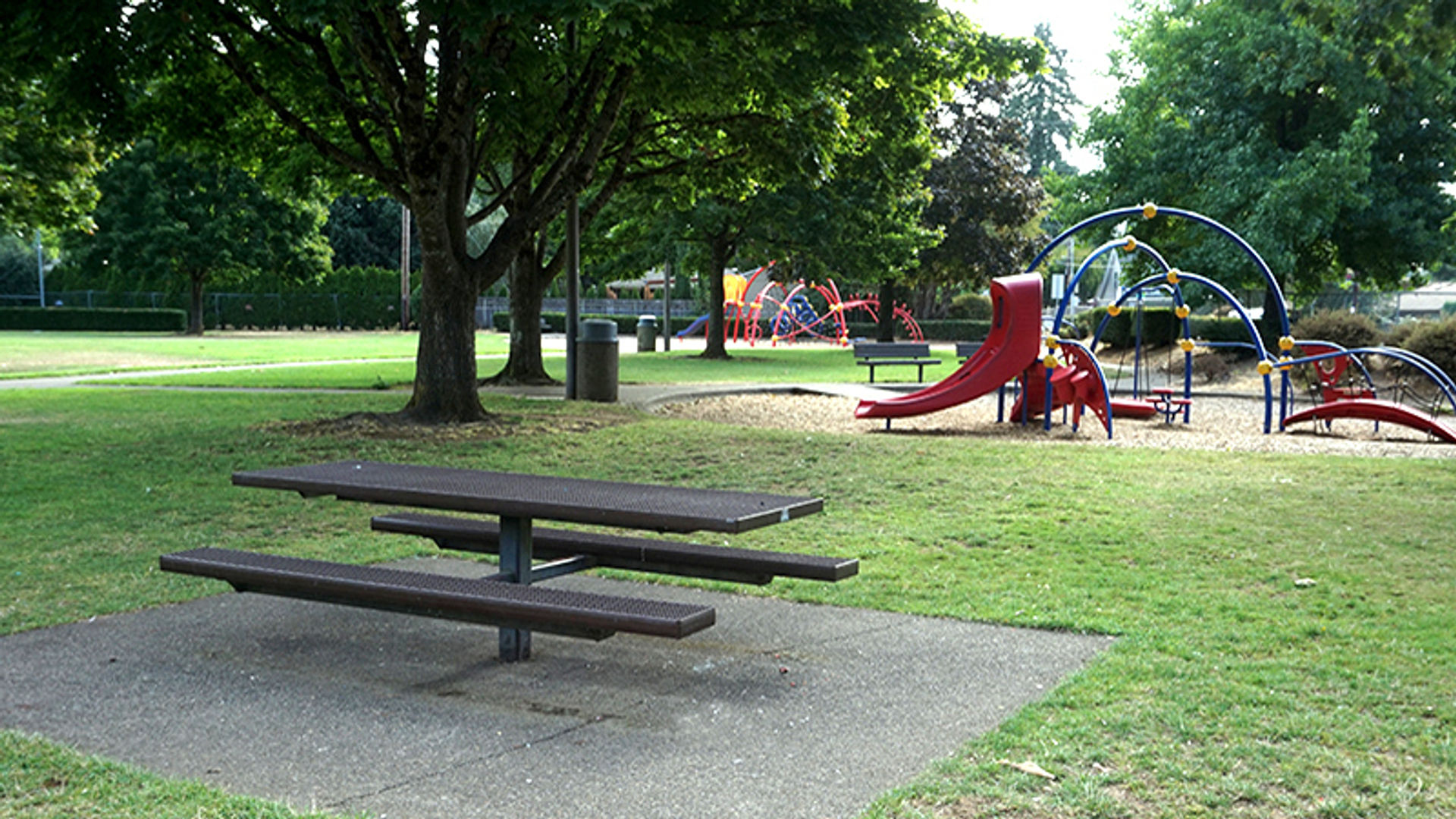 Gallery_Rockwood_Park_Picnic_table.jpg