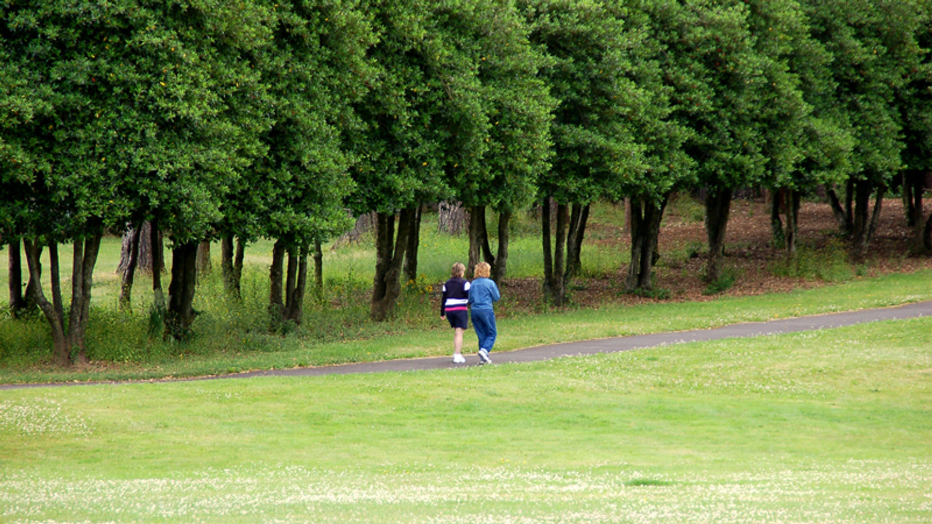 Gallery-Hollybrook-walking-path.jpg