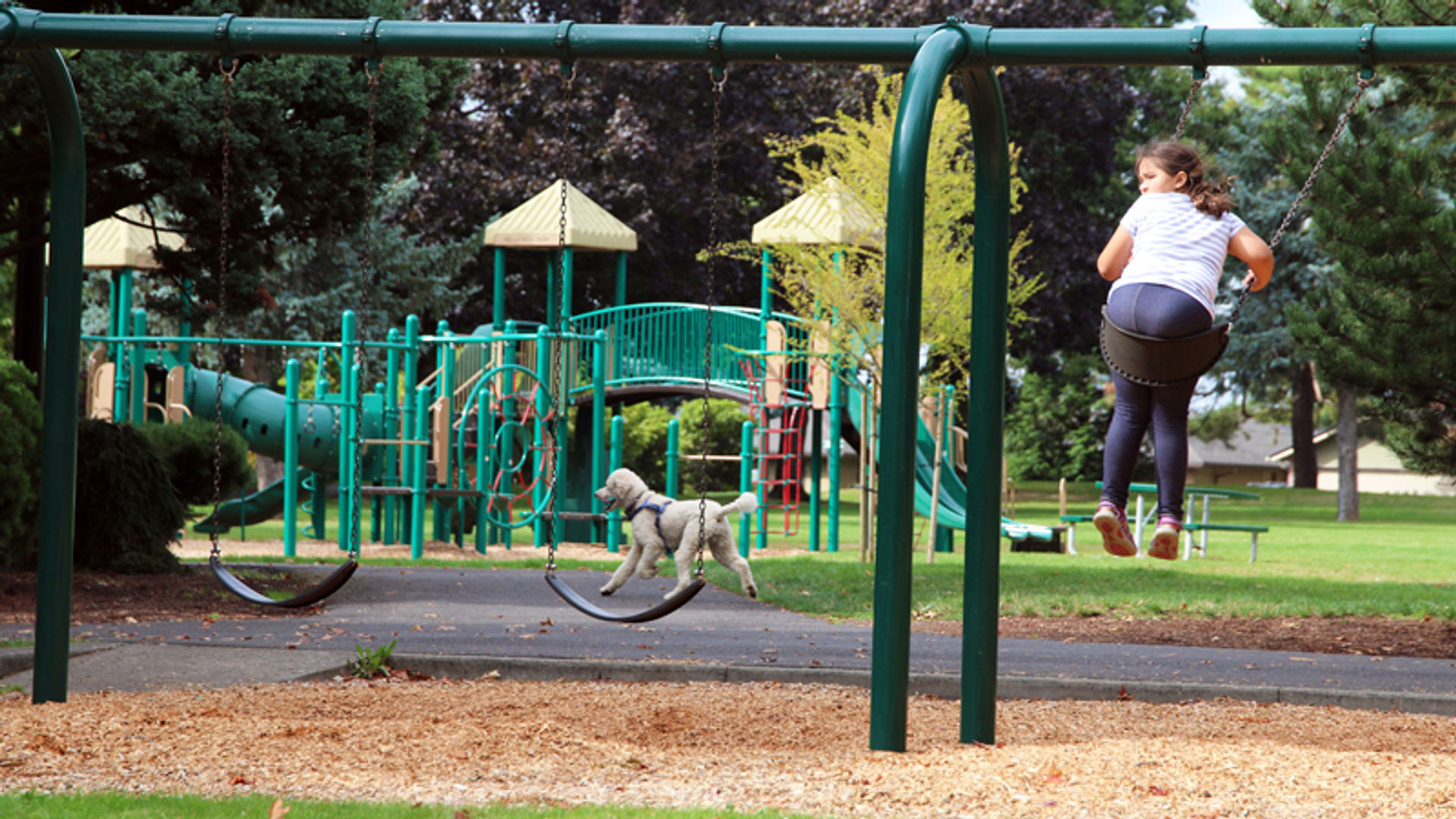 Gallery_Playground-Bella-Vista-Park.jpg