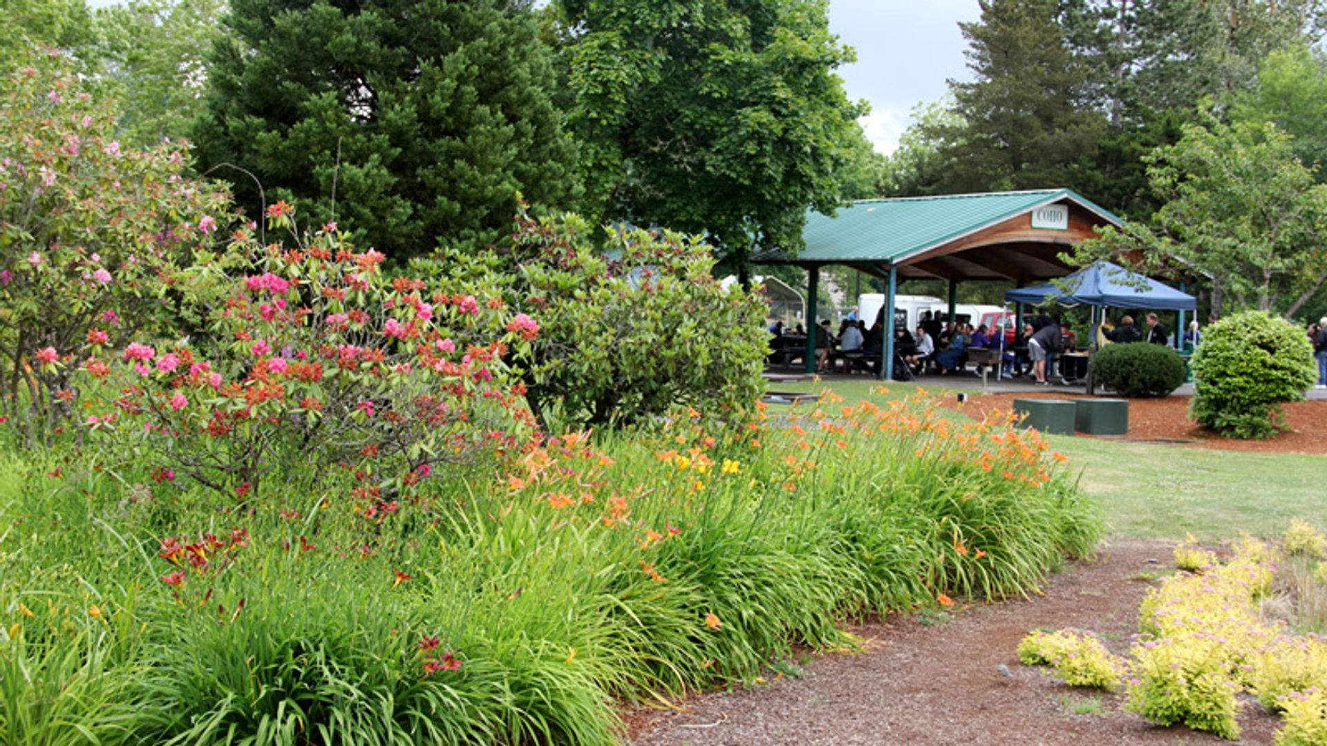 Gallery_Main-City-Park-Coho-Shelter-reservation.jpg