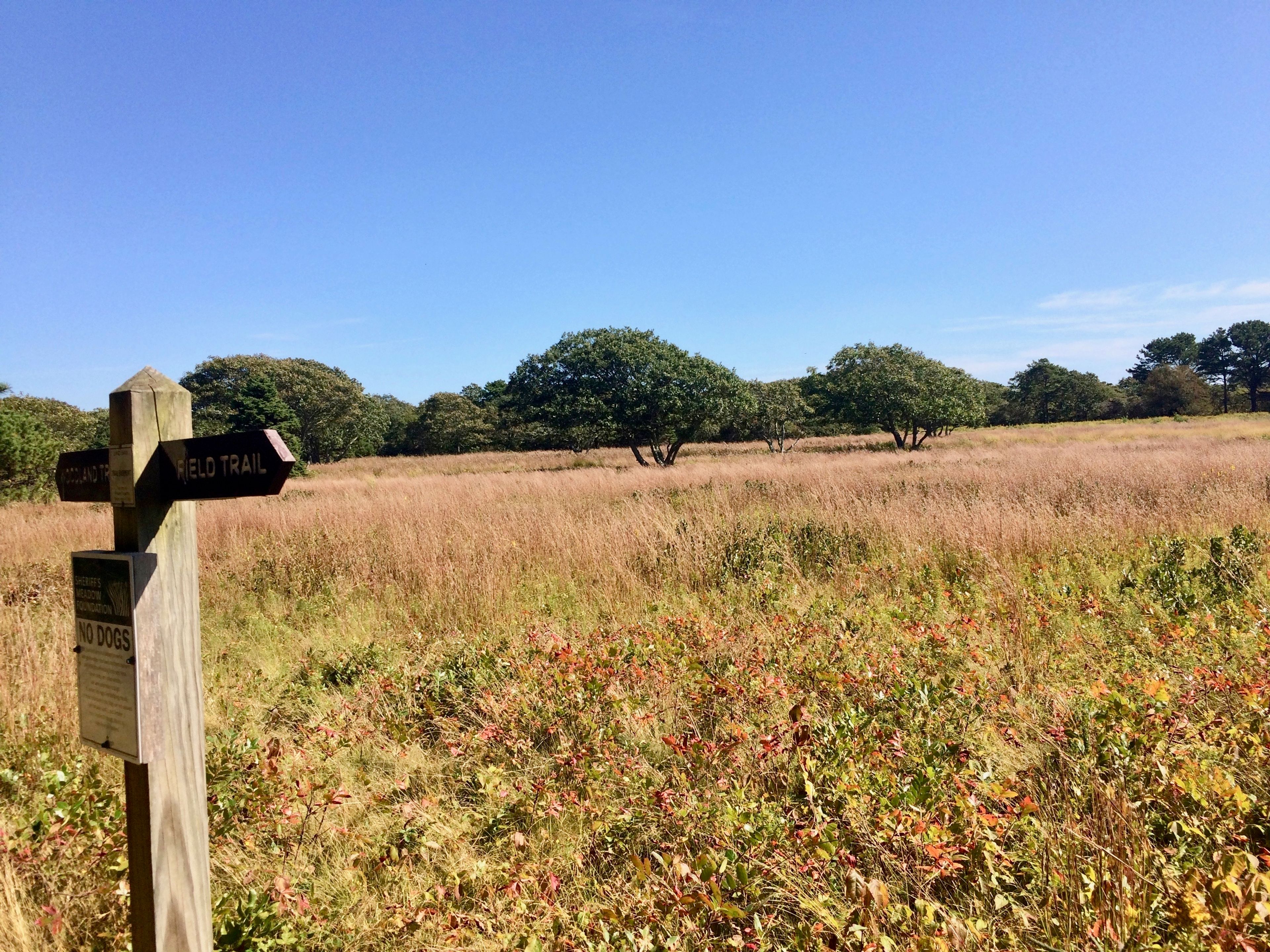 view of field from TM1