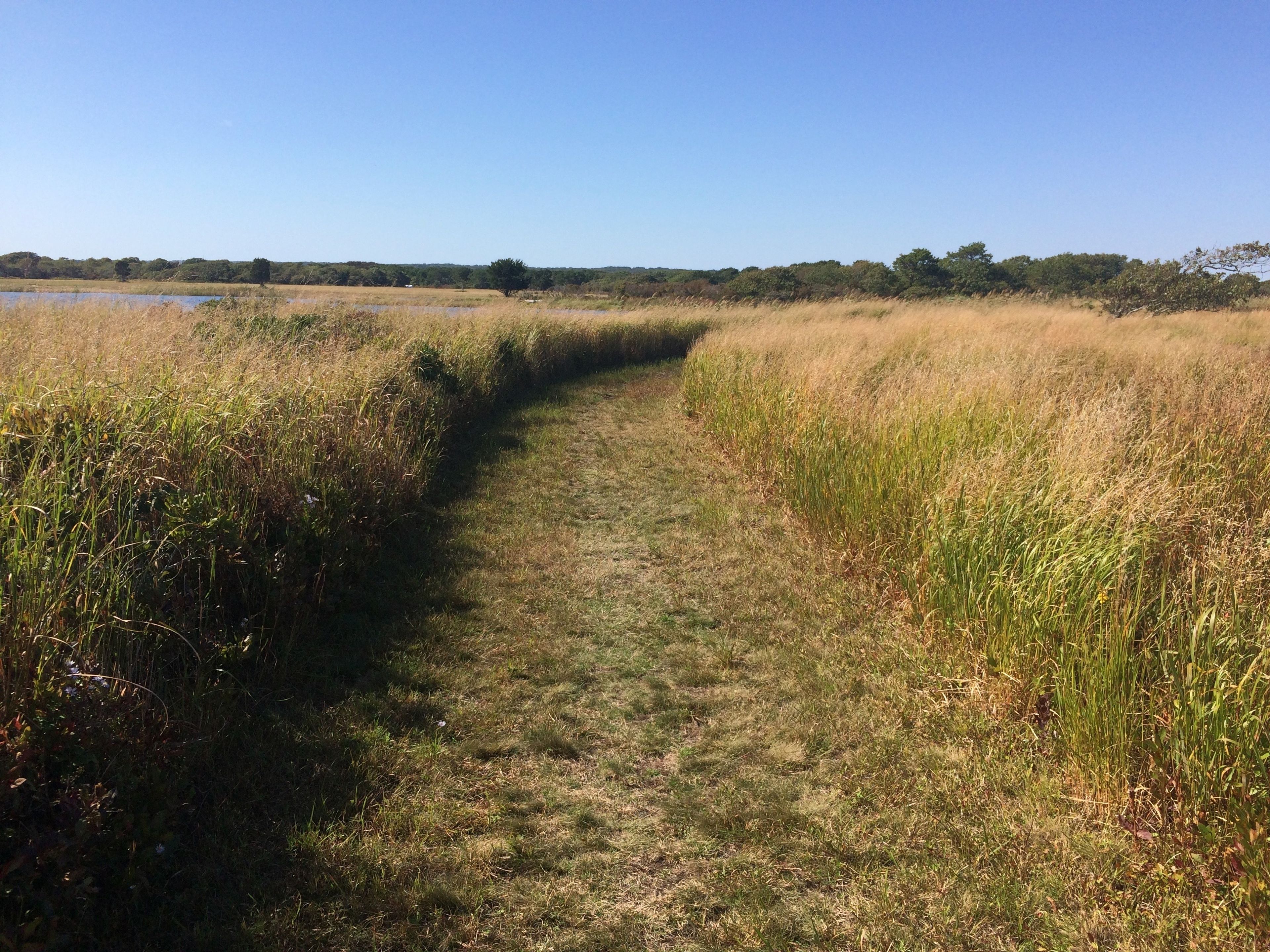 trail near Blackpoint Pond