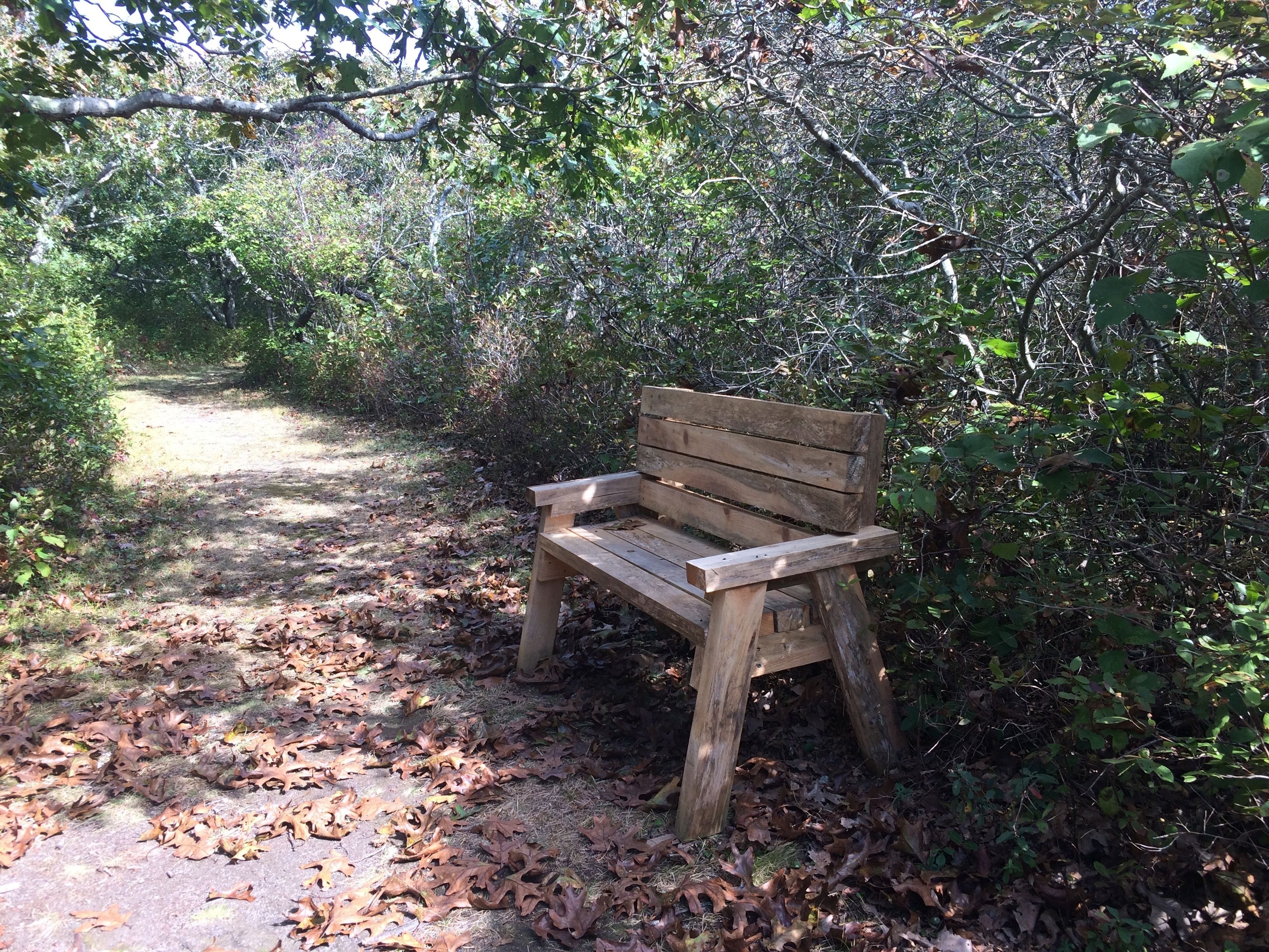 bench at TM7