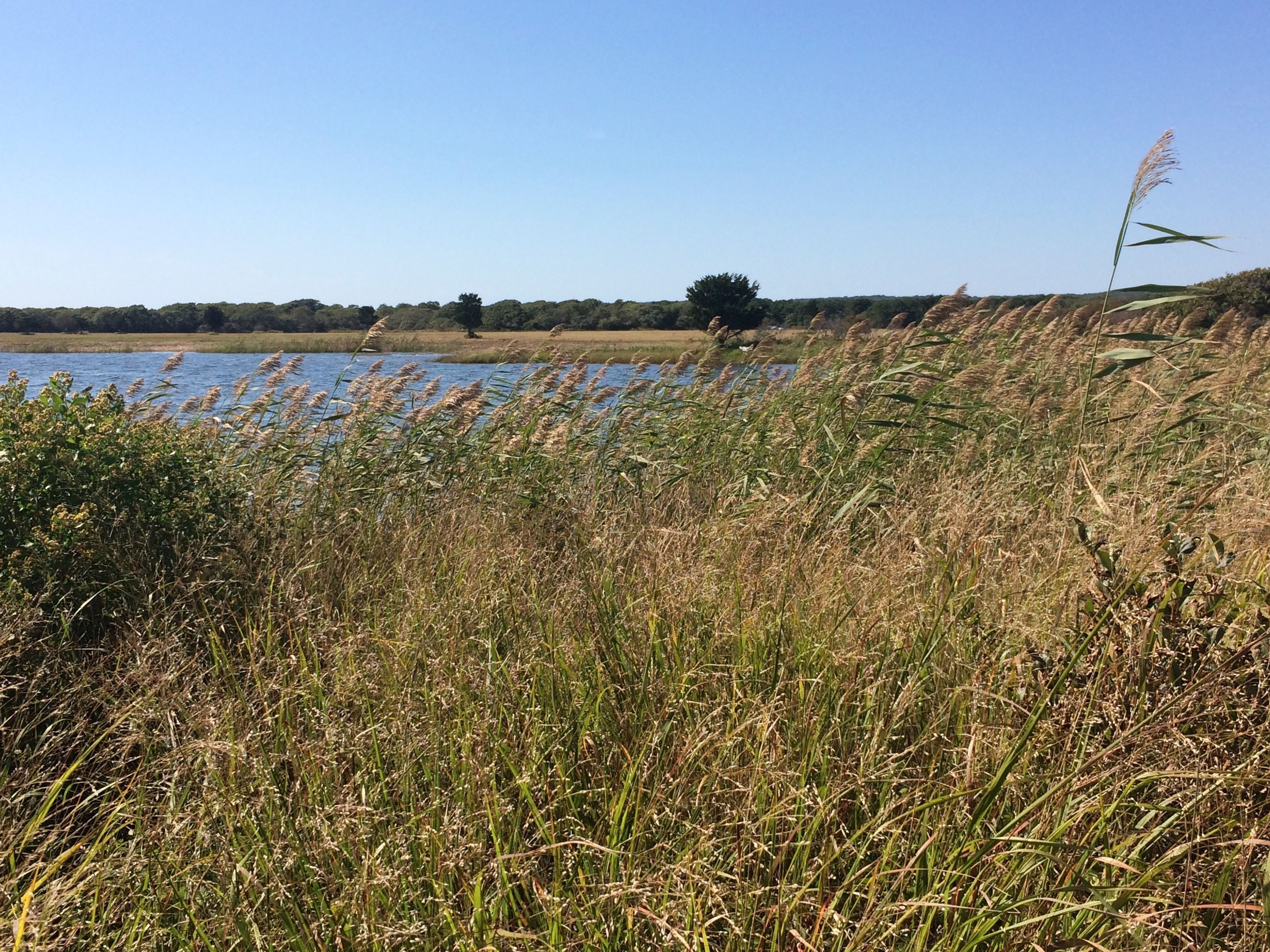 view of Blackpoint Pond