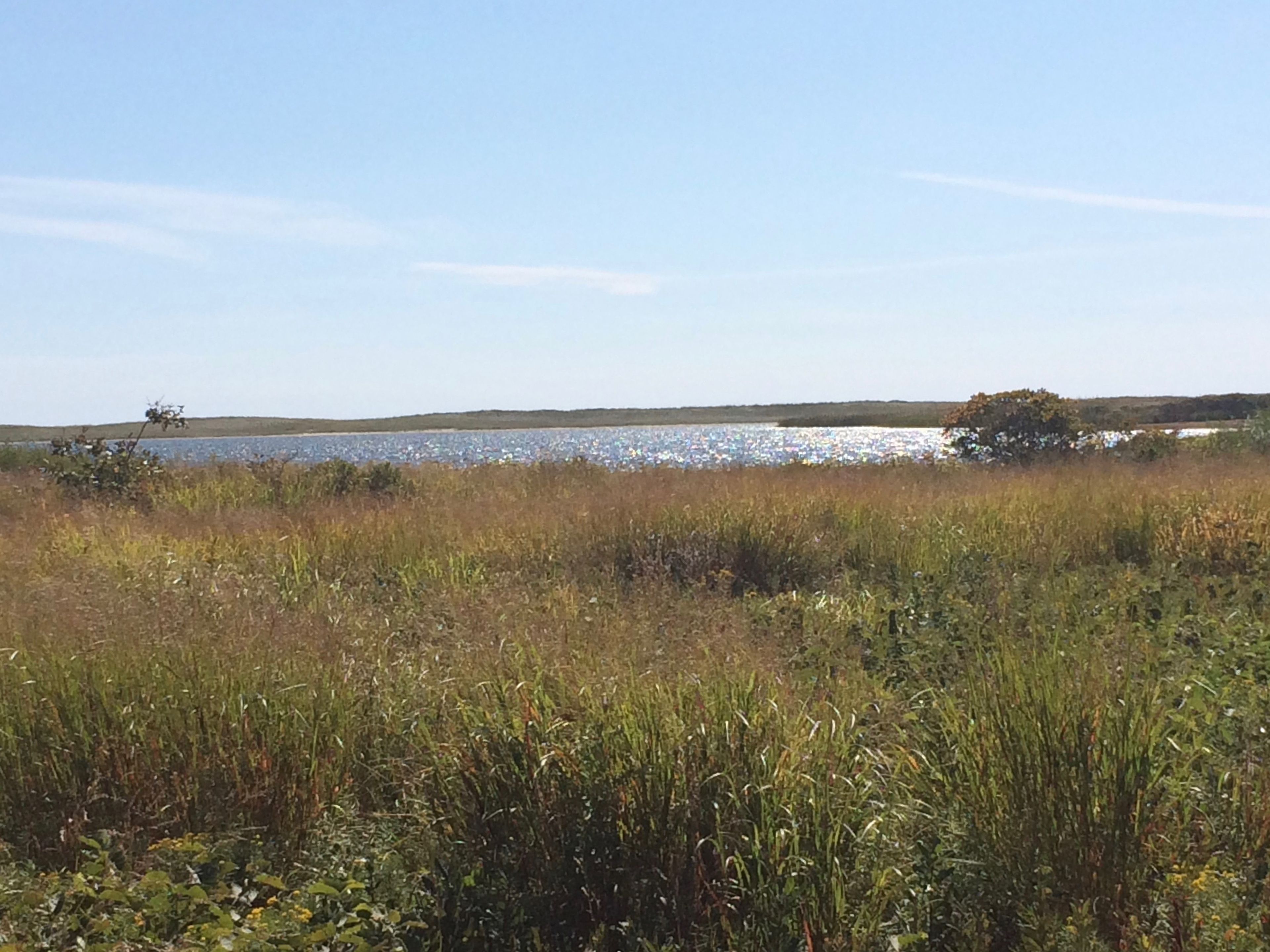 view of Blackpoint Pond, looking towards ocean