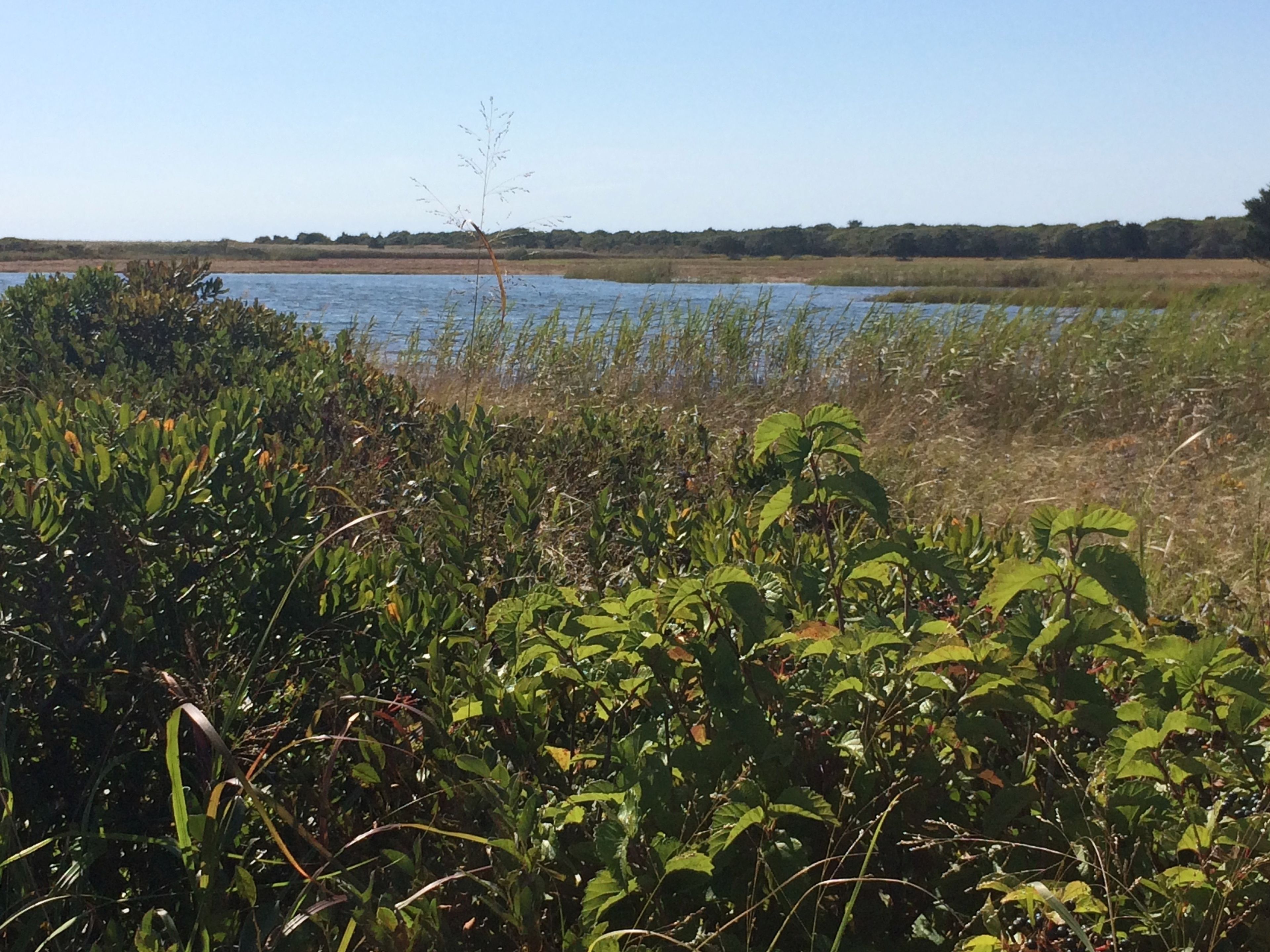 view of Blackpoint Pond