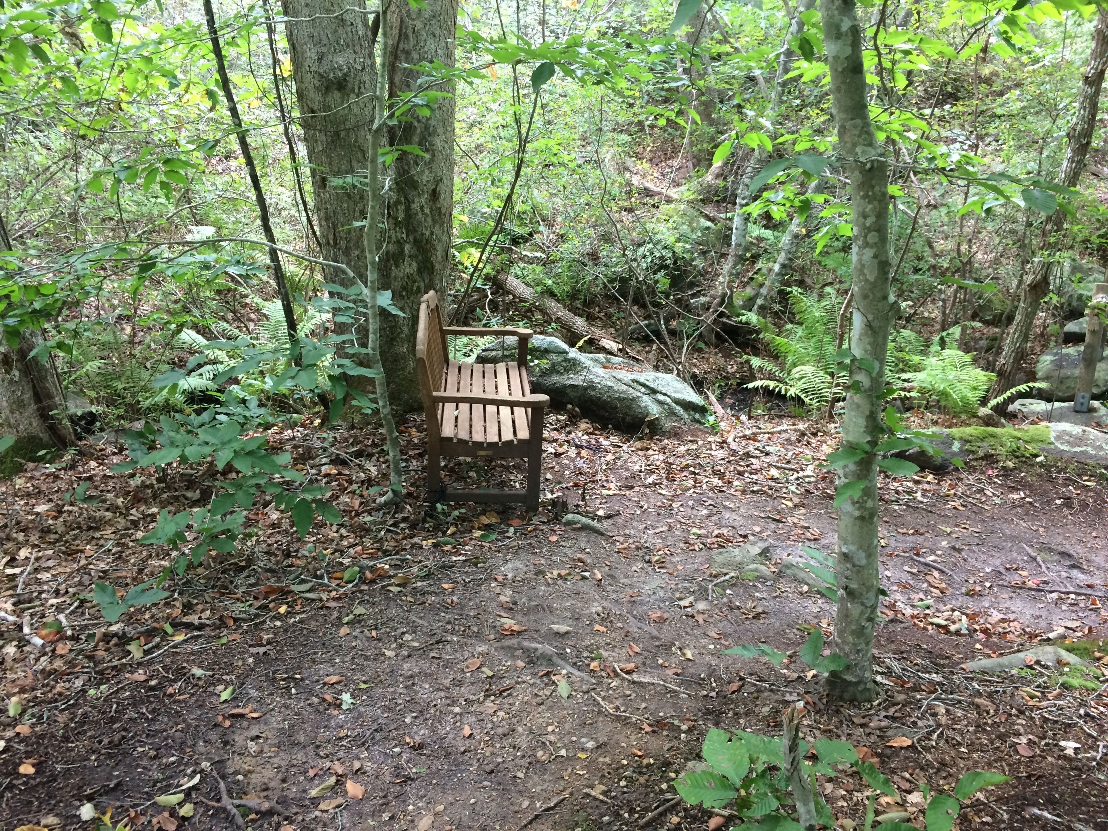 bench at waterfall