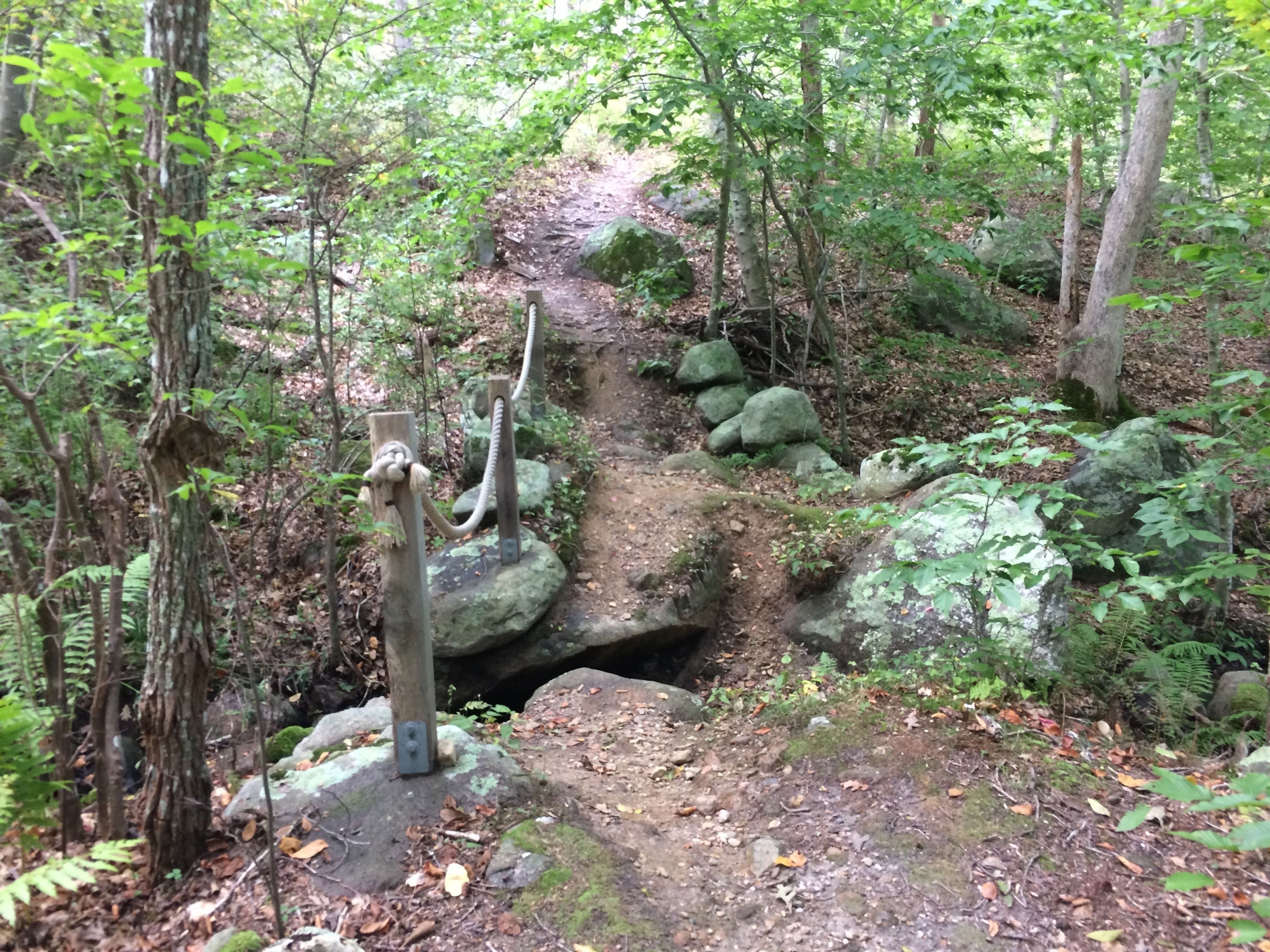 waterfall near bench