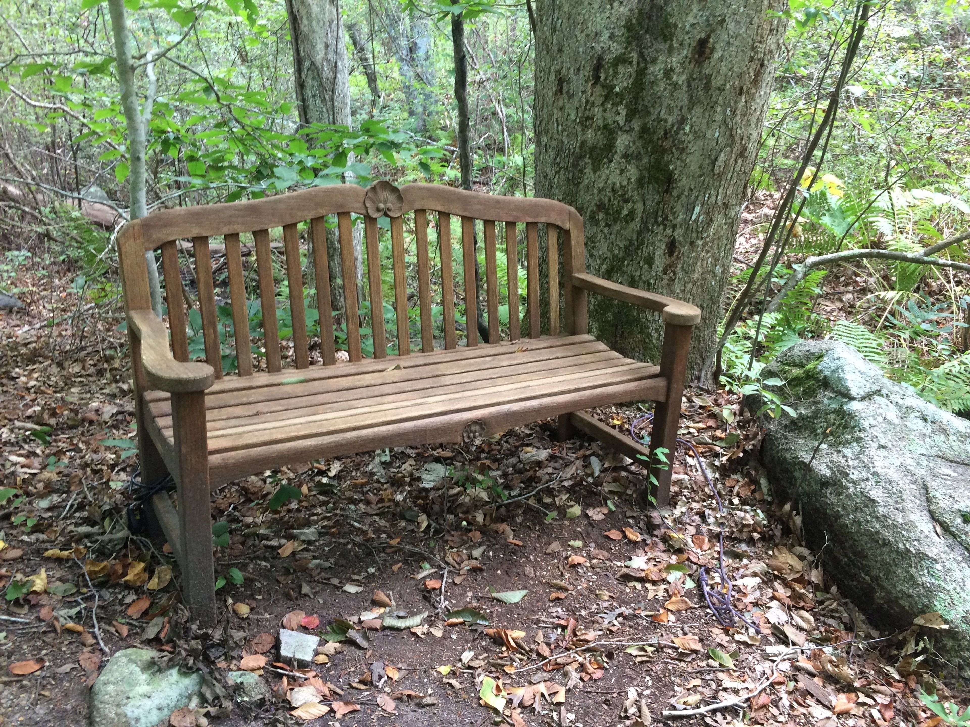 bench at waterfall