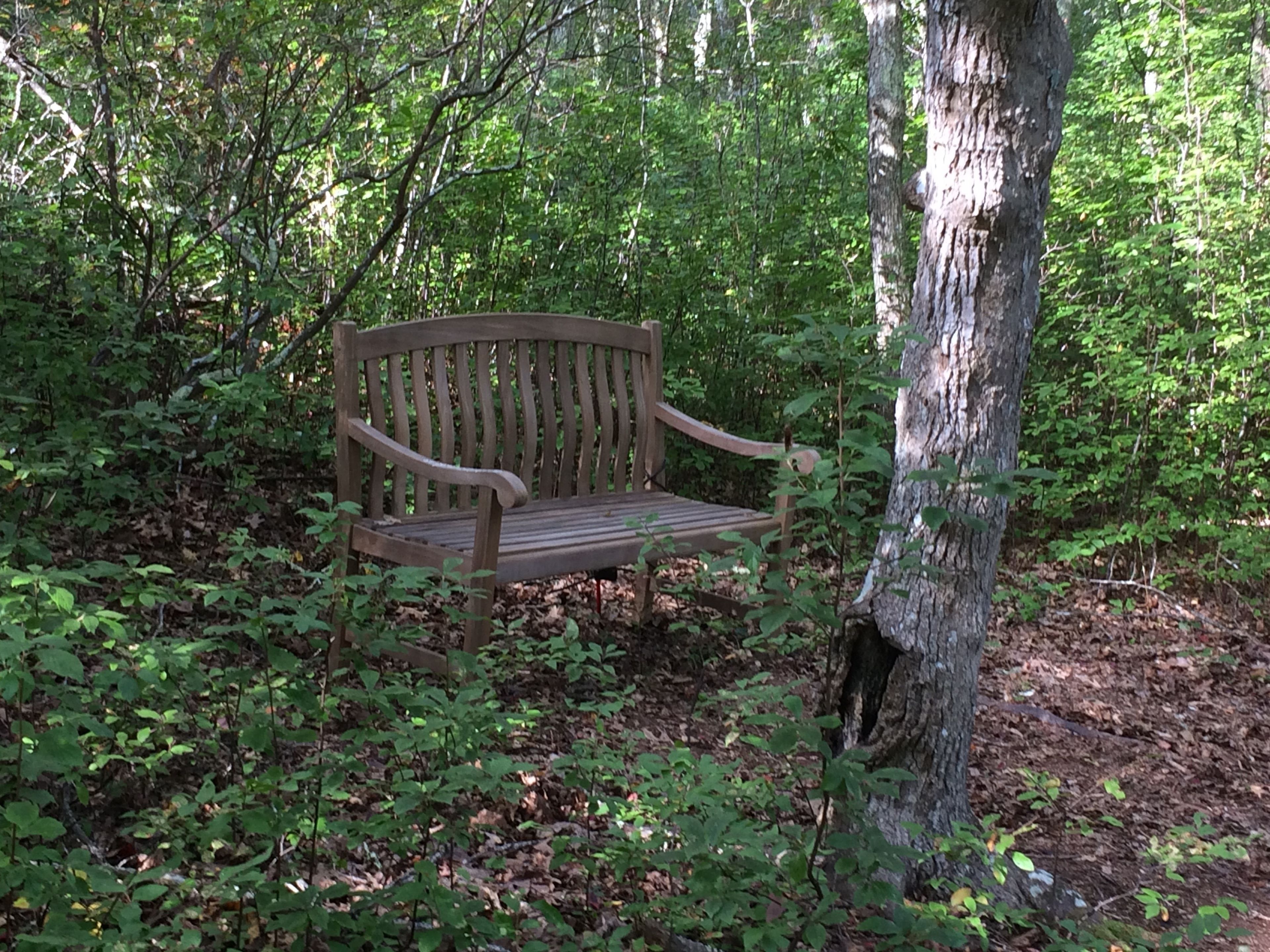 bench along orange trail