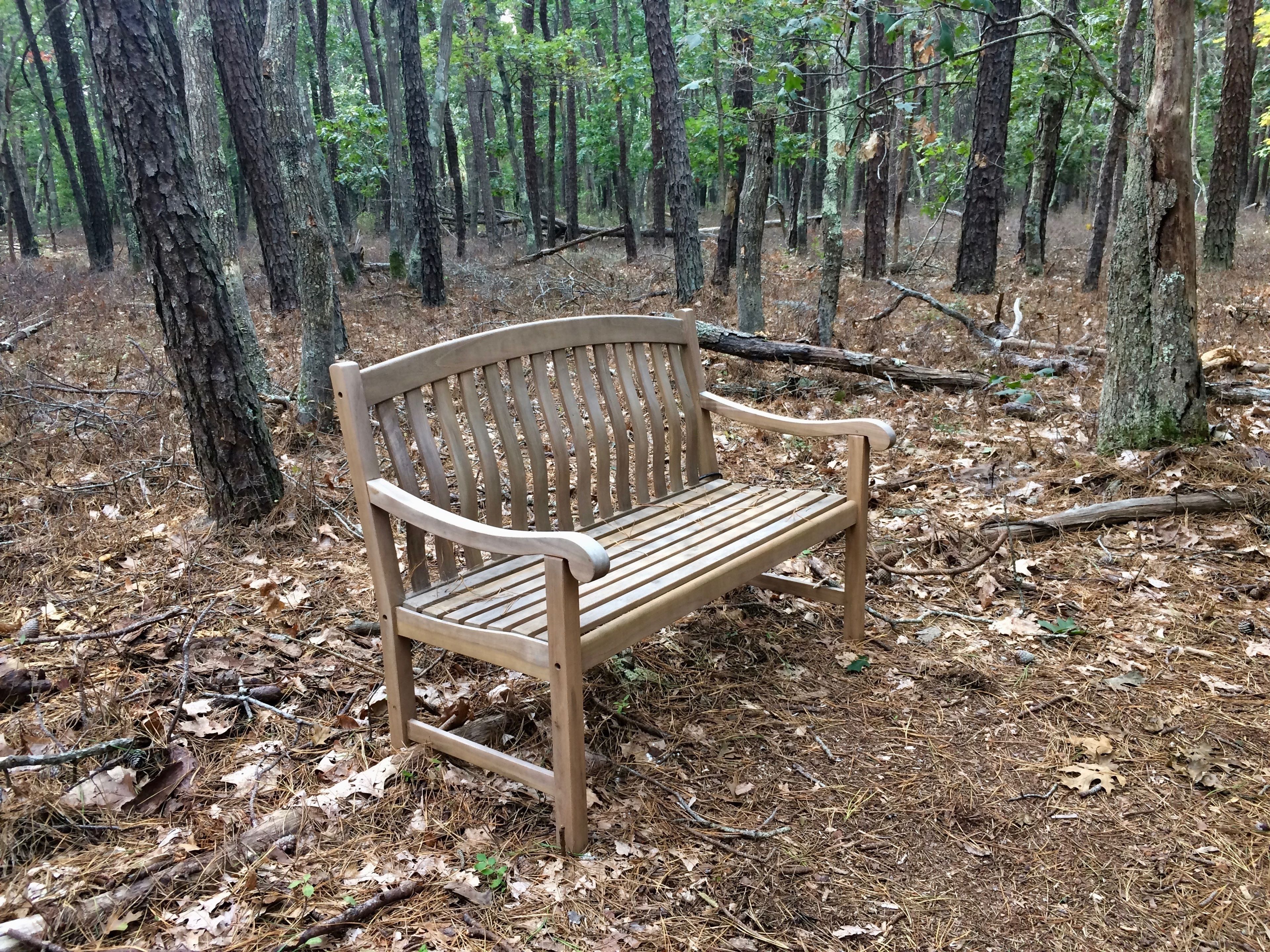 bench, green trail